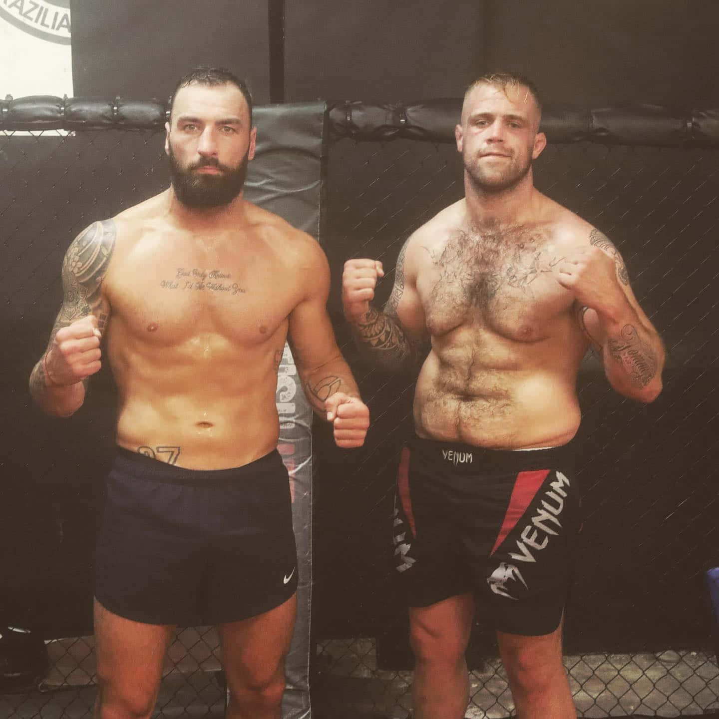 Paul Craig, cage, fists raised, HD Desktop Wallpaper
