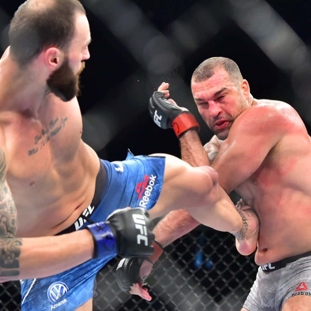Paul Craig, MMA fighters, cage, SD Desktop Wallpaper