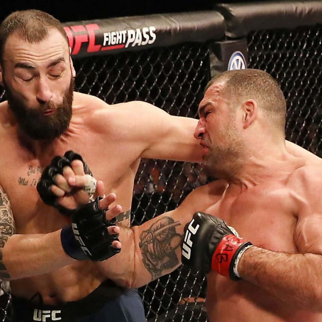 Paul Craig, UFC fighters, cage match, SD Desktop Wallpaper