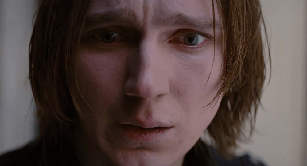 Paul Dano, Spotlight, wet hair, SD Desktop Wallpaper