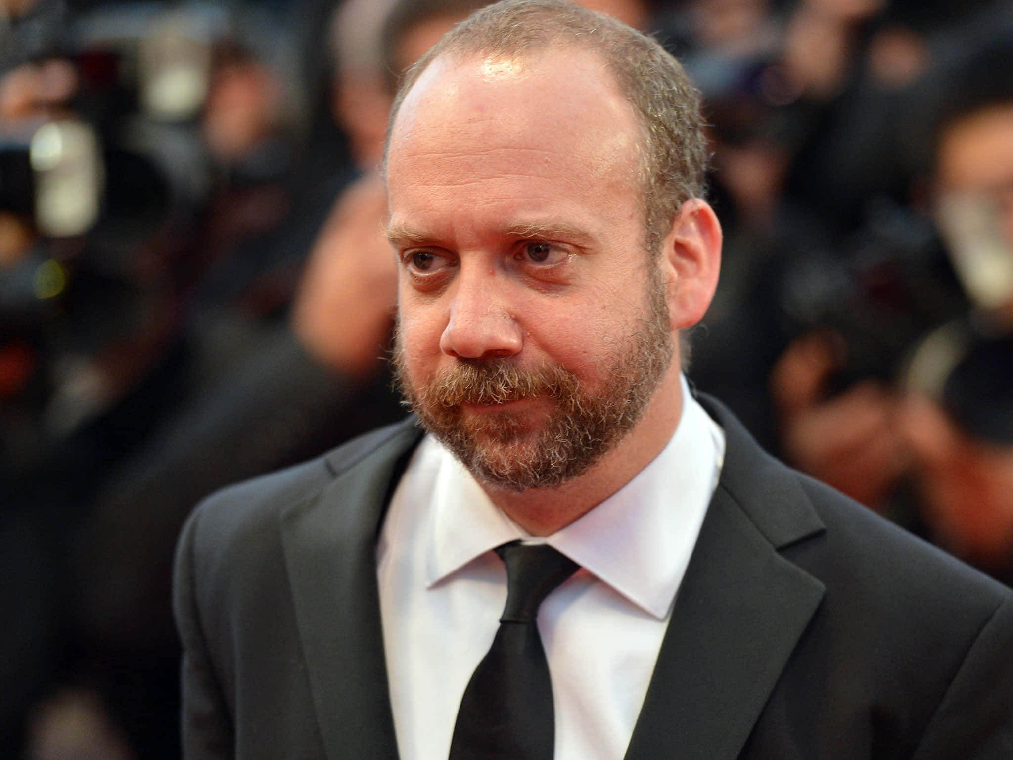 Paul Giamatti, red carpet, black suit, Full HD Desktop Wallpaper