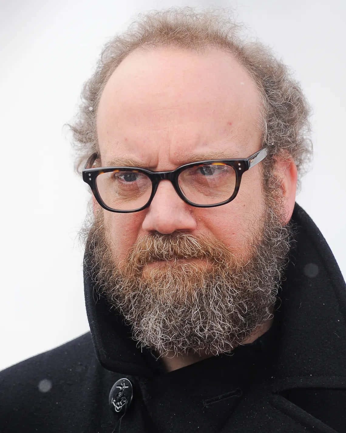 Paul Giamatti, graying beard, thick-rimmed glasses, HD Phone Wallpaper