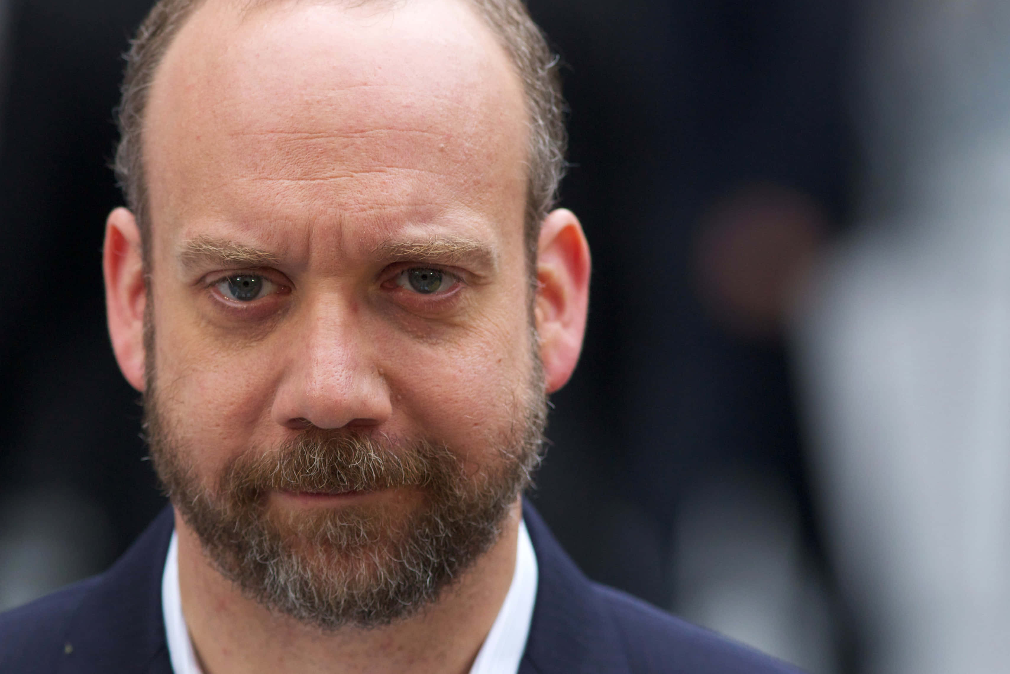 Paul Giamatti, dark suit, graying beard, 2K Desktop Wallpaper