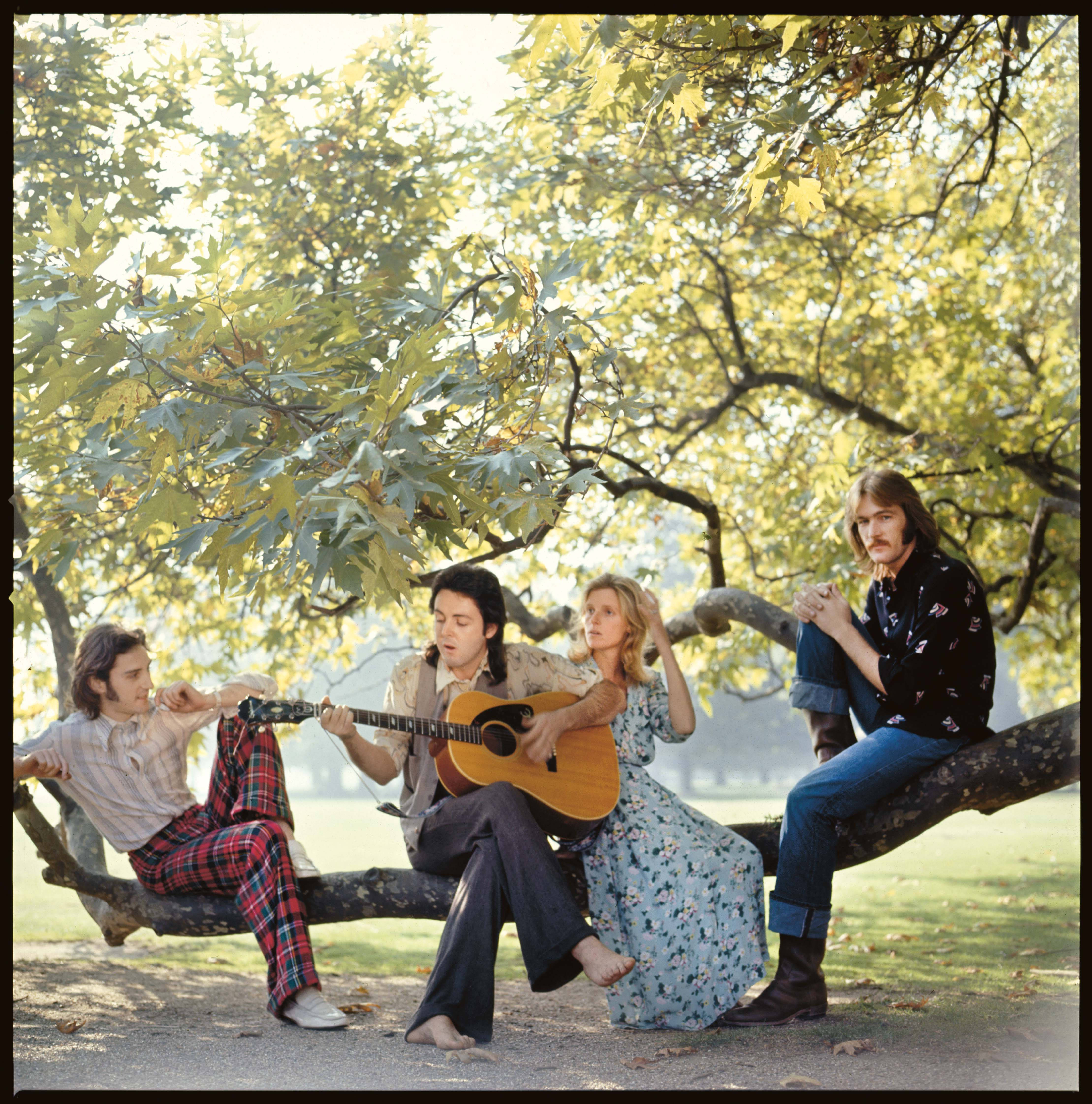 Paul McCartney And Wings, 1970s attire, tree branch, 4K Phone Wallpaper