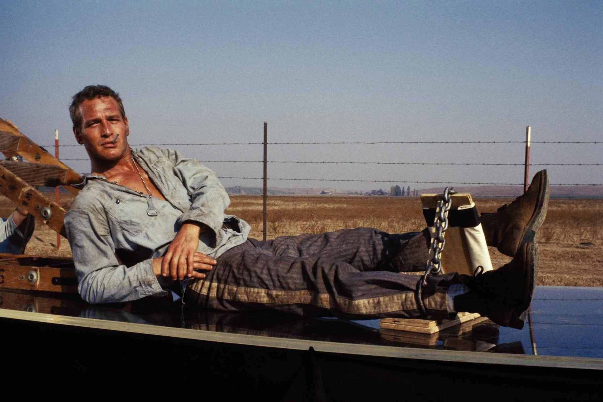 Paul Newman, truck bed, dry field, Full HD Desktop Wallpaper