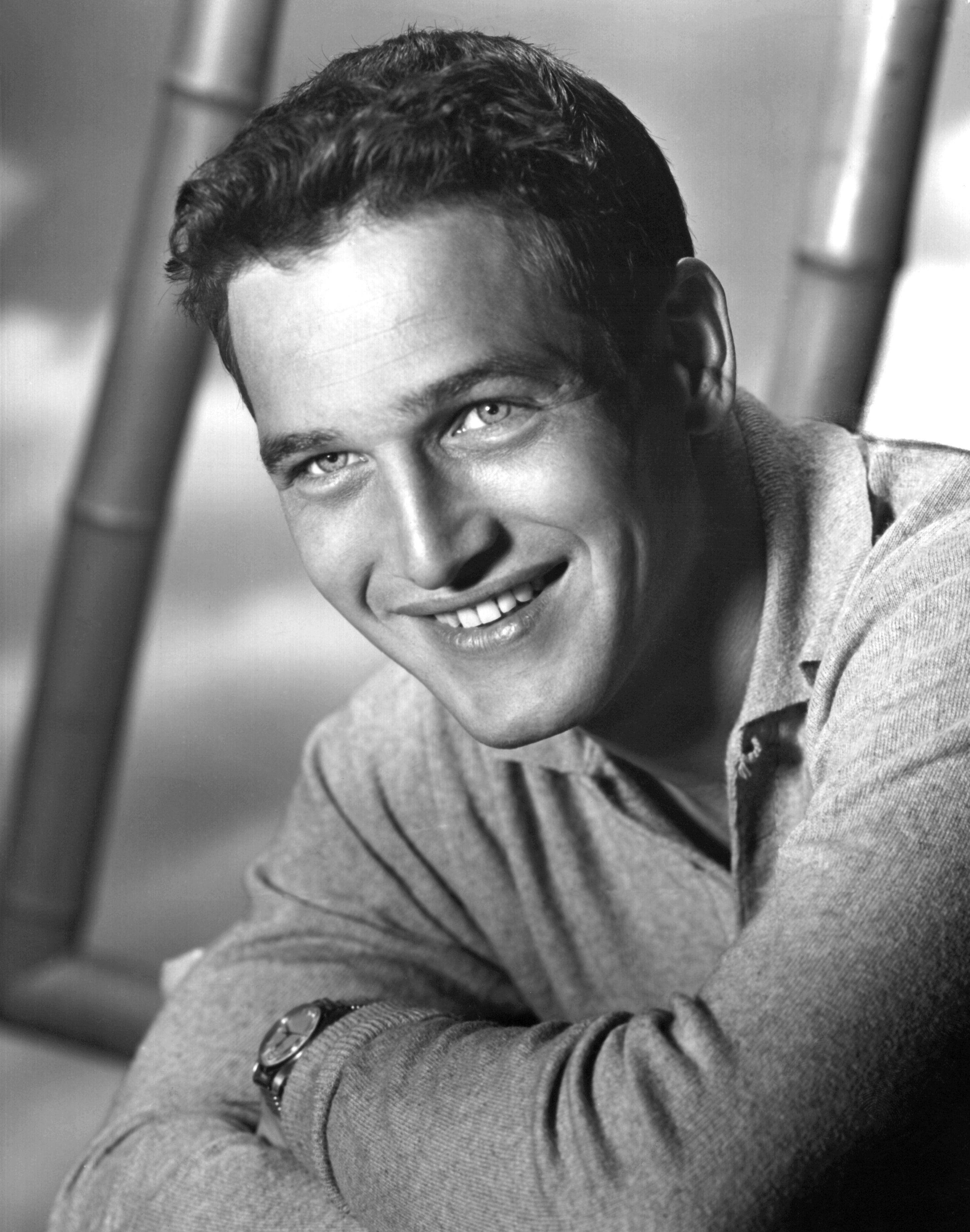 Paul Newman, sweater, bamboo stalks, 2K Phone Wallpaper