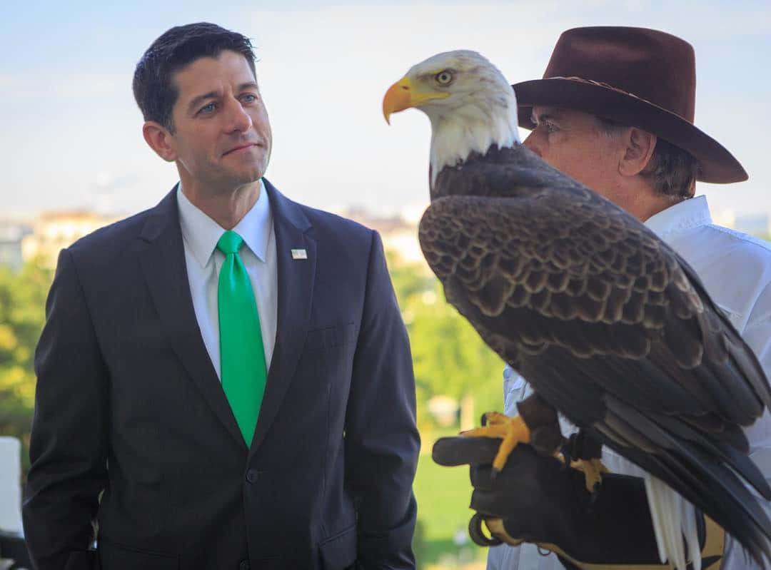 Paul Ryan, bald eagle, gloved hand, SD Desktop Wallpaper