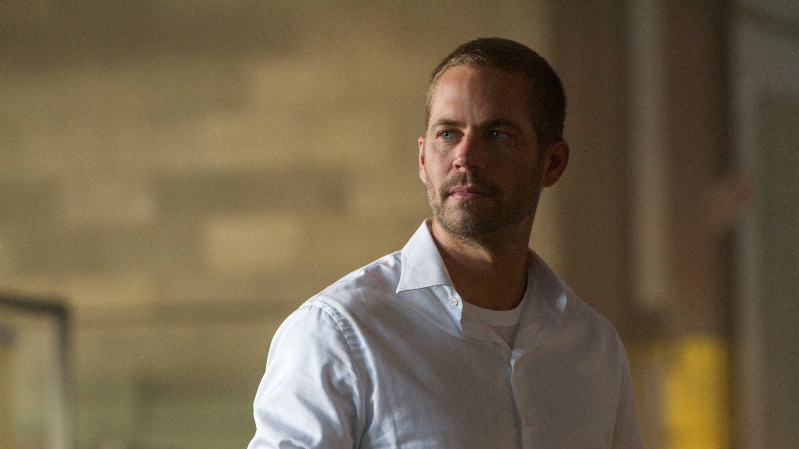 Paul Walker, white shirt, warmly lit indoor space, 2K Desktop Wallpaper