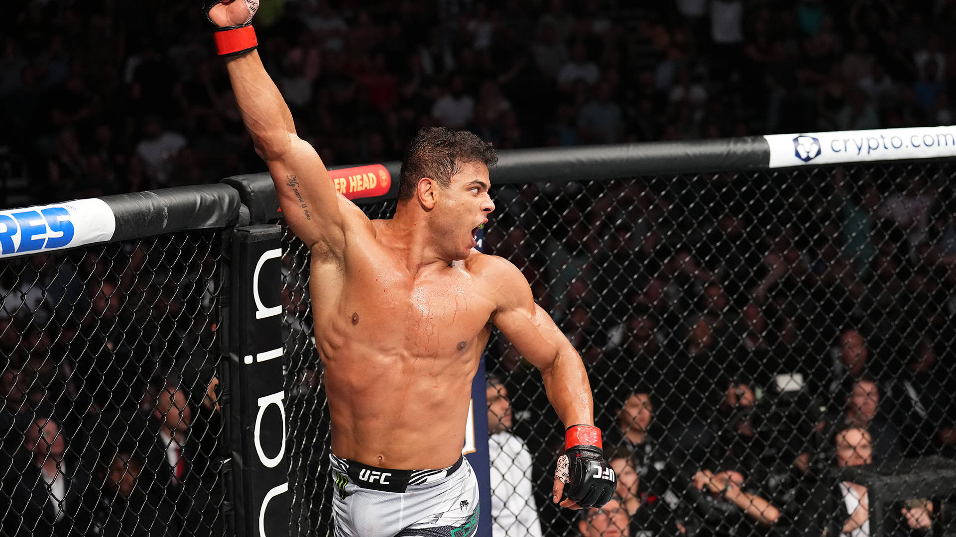 Paulo Costa, UFC fighter, octagon, Full HD Desktop Wallpaper