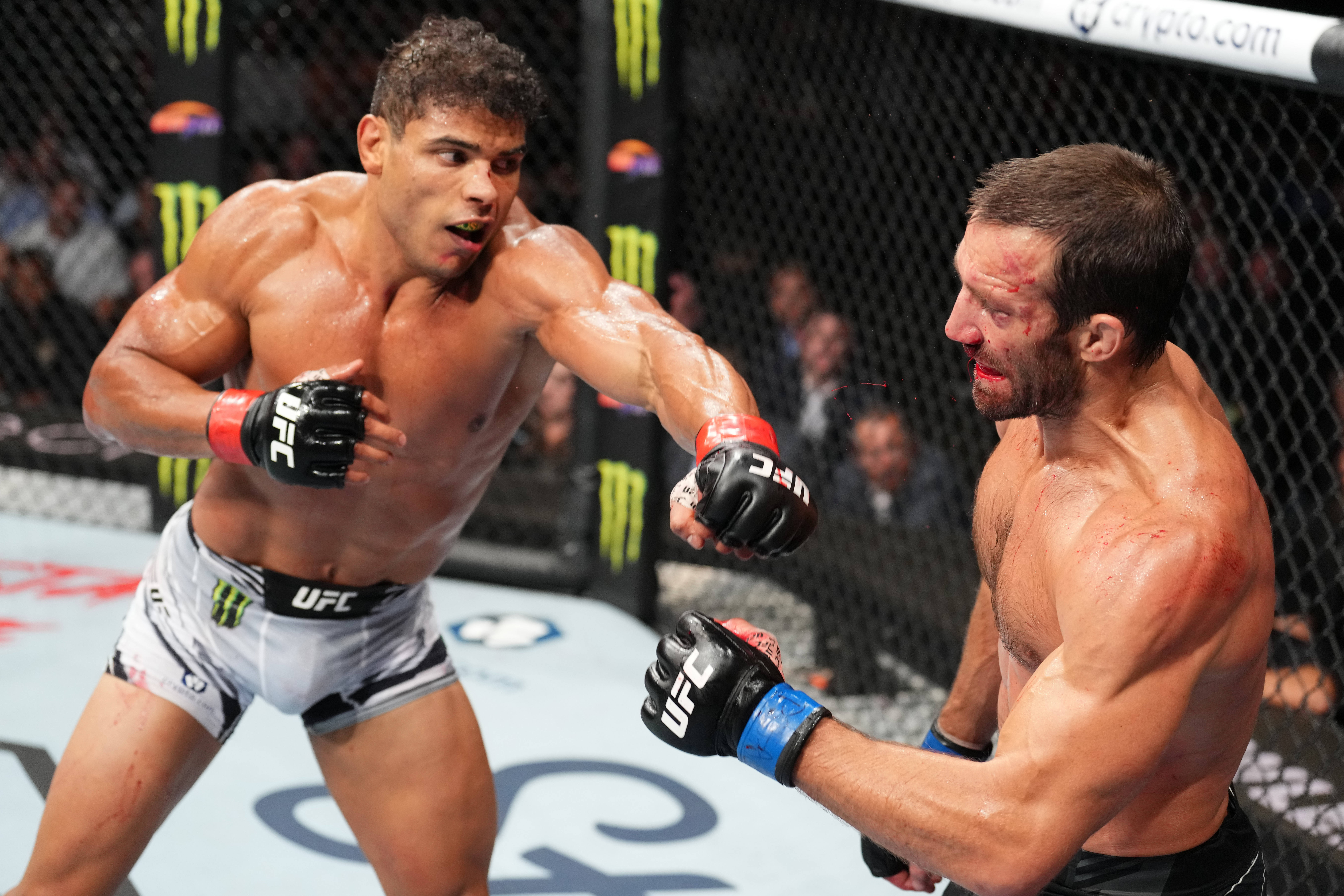 Paulo Costa, MMA fighters, cage match, 8K Desktop Wallpaper