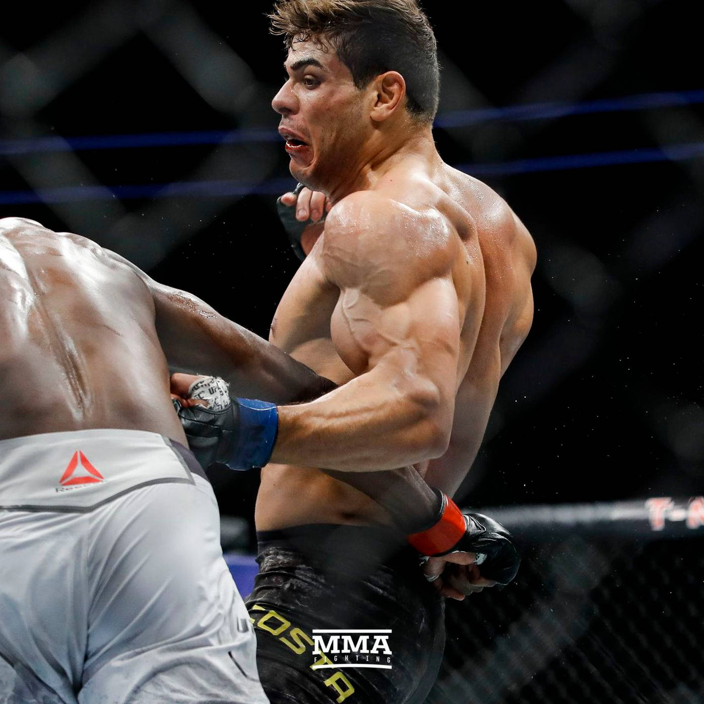Paulo Costa, MMA fighters, octagon, HD Desktop Wallpaper