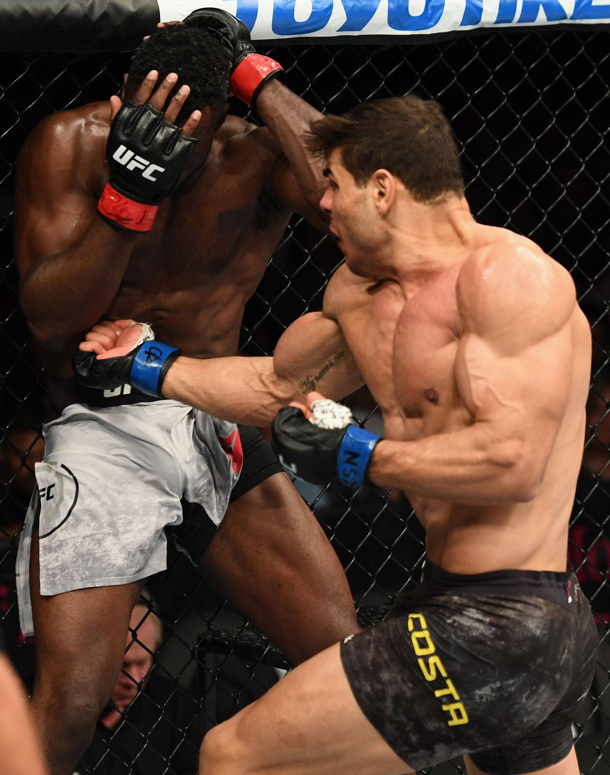 Paulo Costa, MMA fighters, cage match, HD Phone Wallpaper