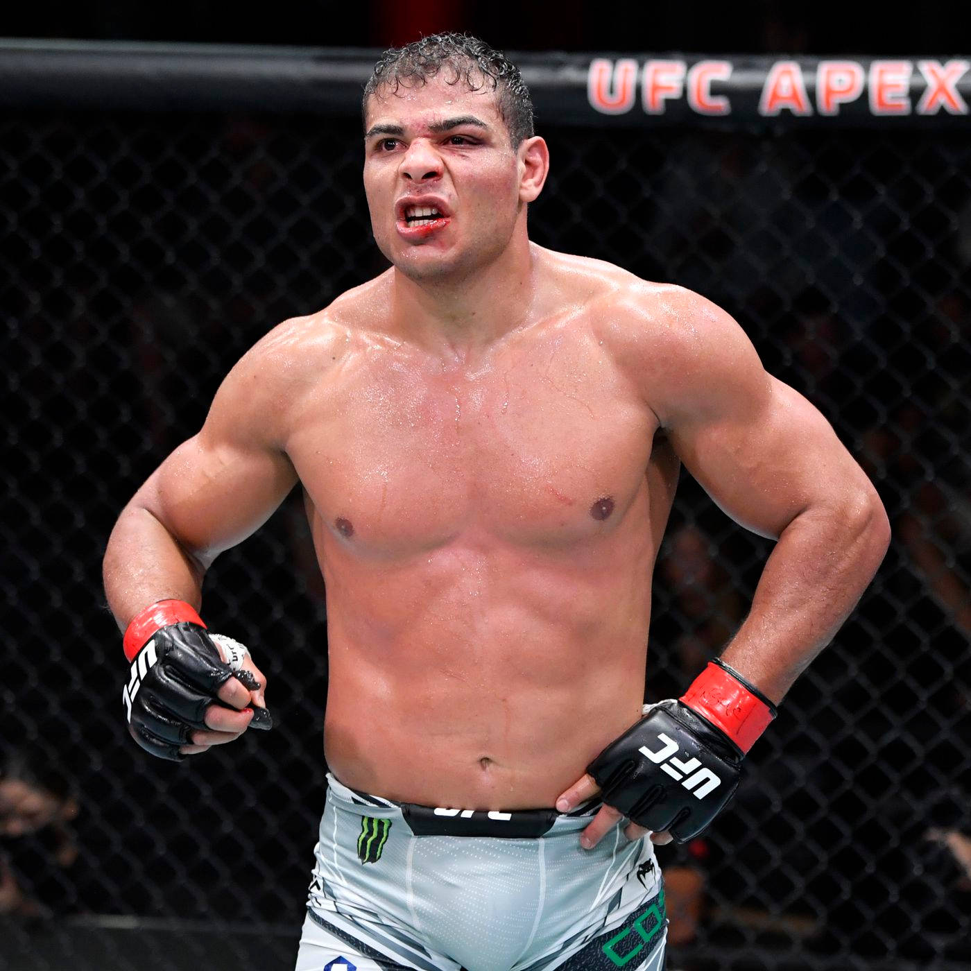 Paulo Costa, UFC fighter, octagon, HD Desktop Wallpaper