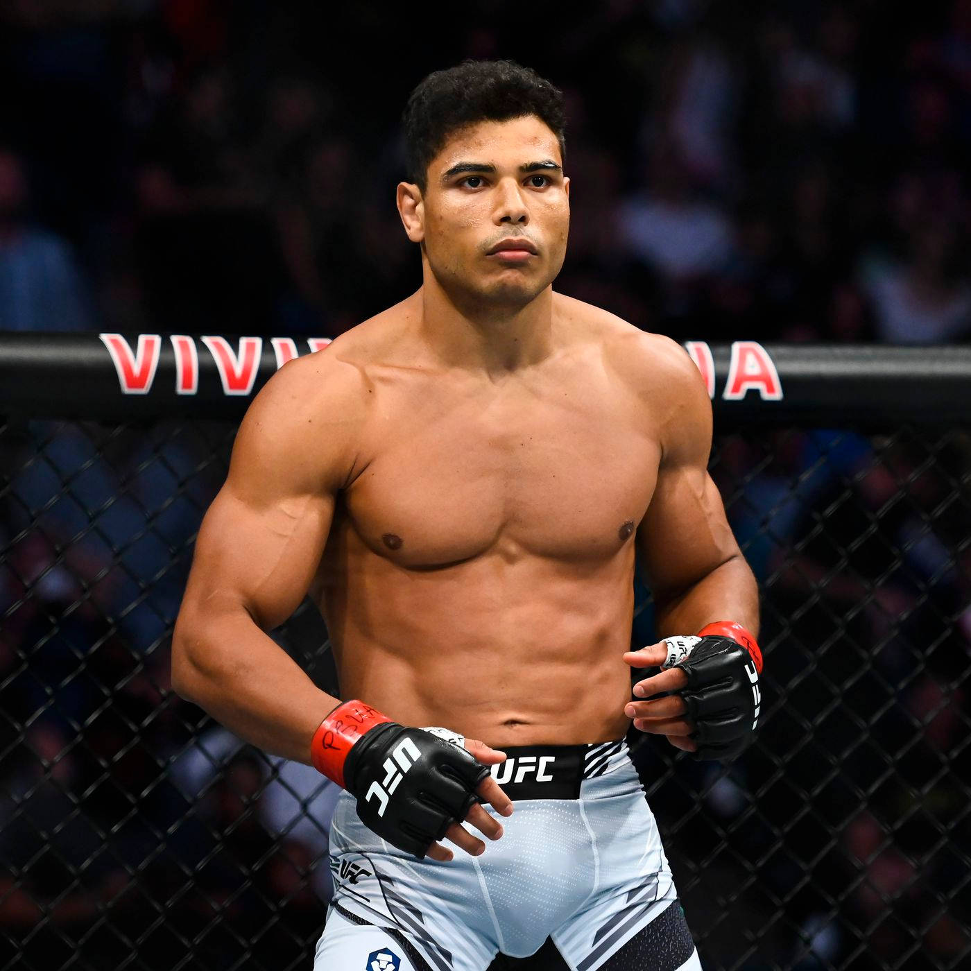 Paulo Costa, UFC fighter, octagon, HD Desktop Wallpaper