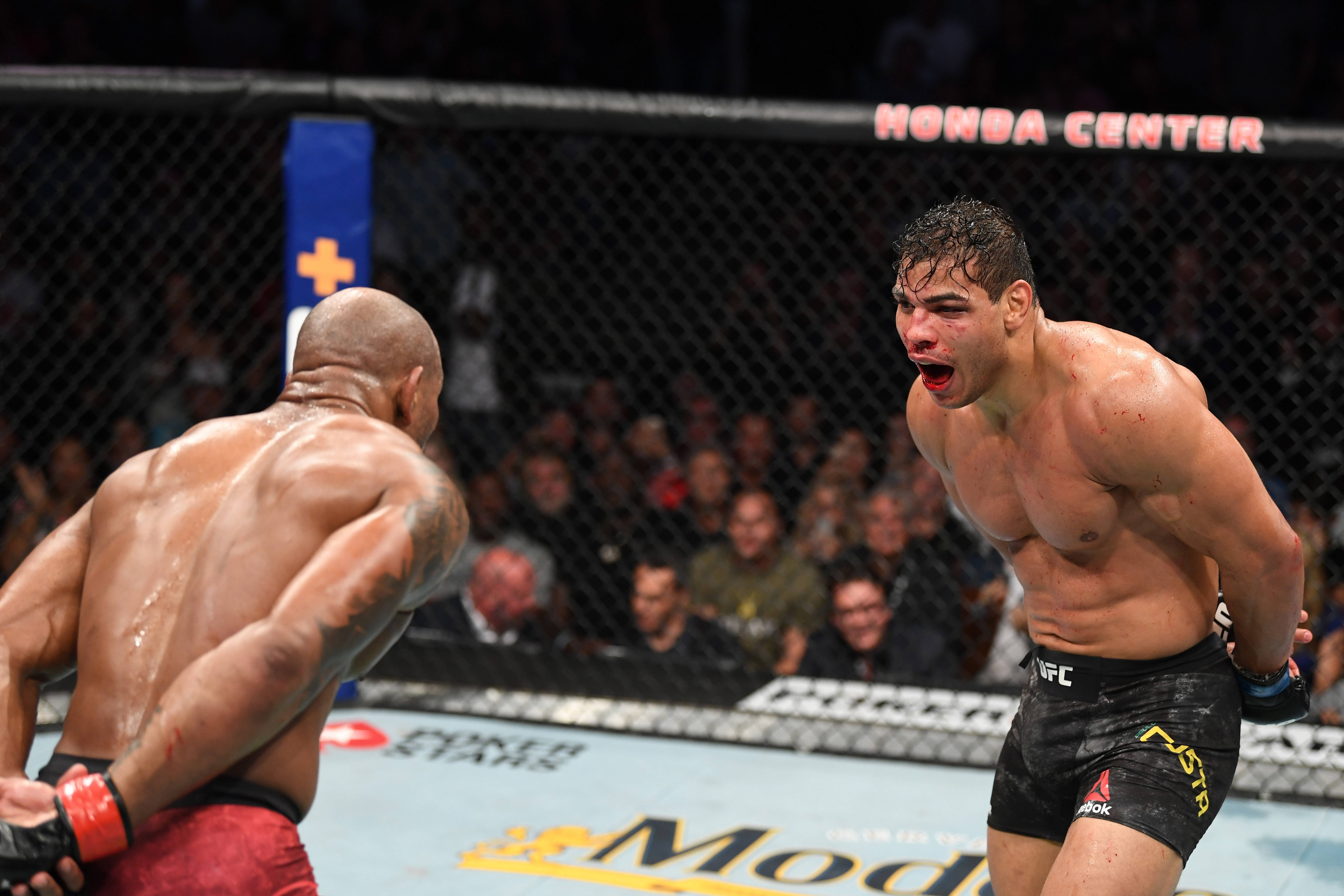 Paulo Costa, MMA fighters, cage match, 5K Desktop Wallpaper