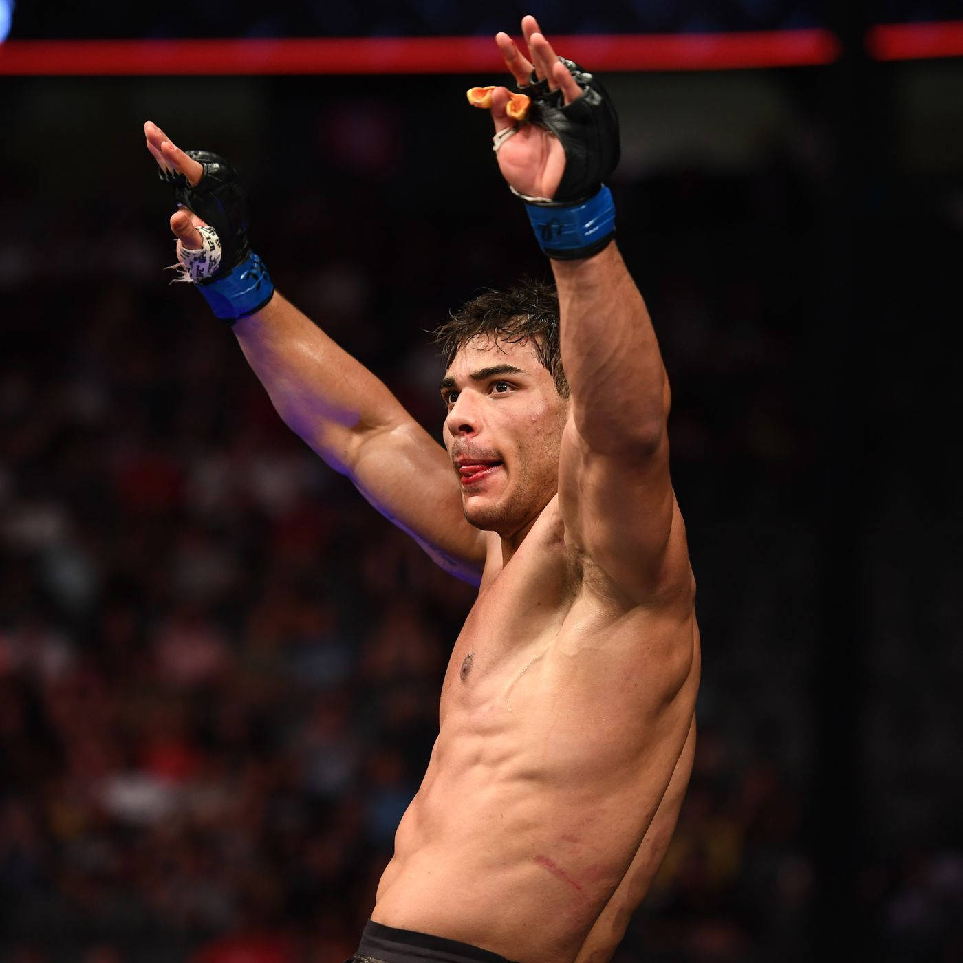 Paulo Costa, mixed martial artist, gloved hands, HD Desktop Wallpaper