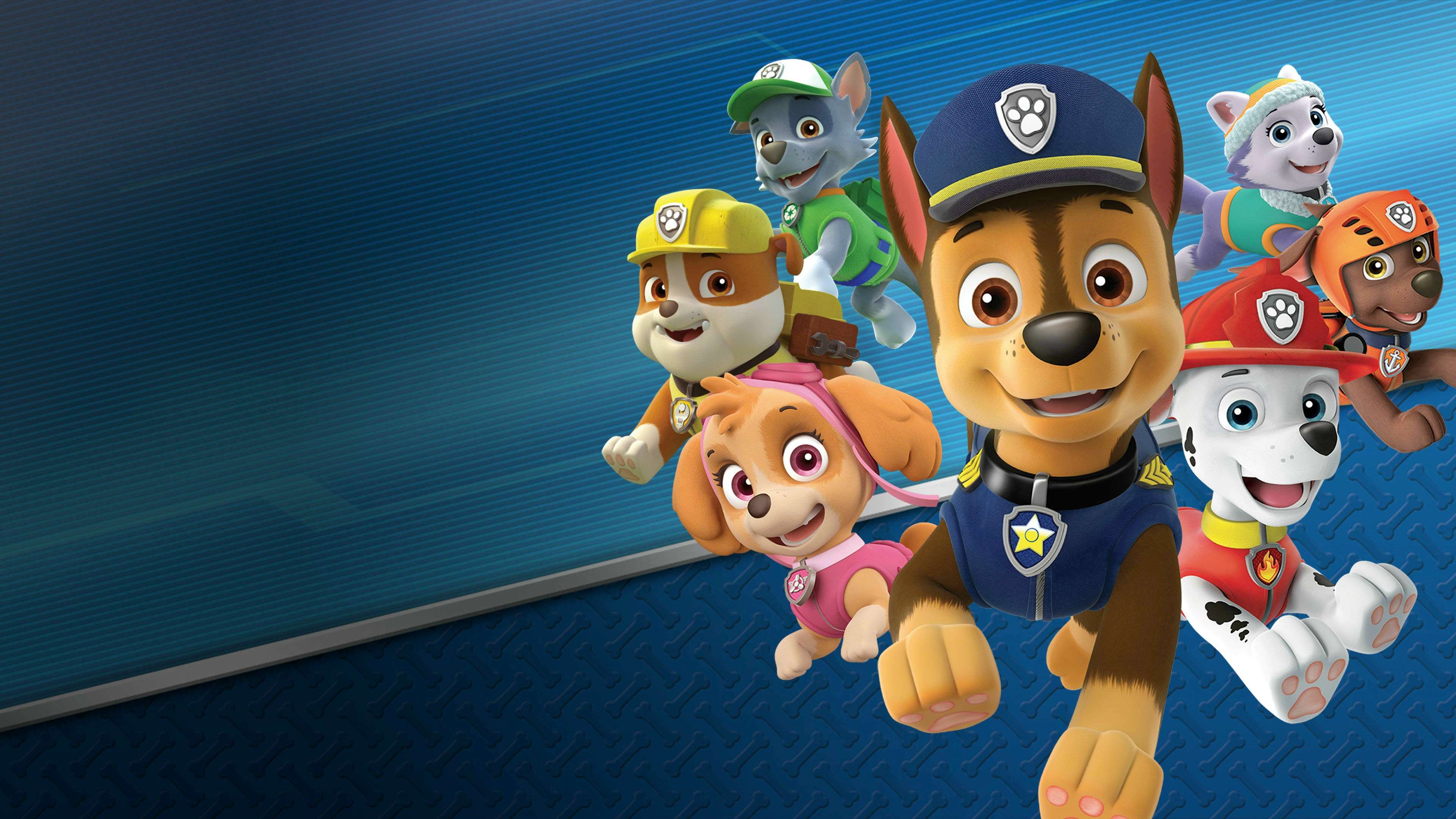 Paw Patrol, Team Members, blue background, 4K Desktop Wallpaper