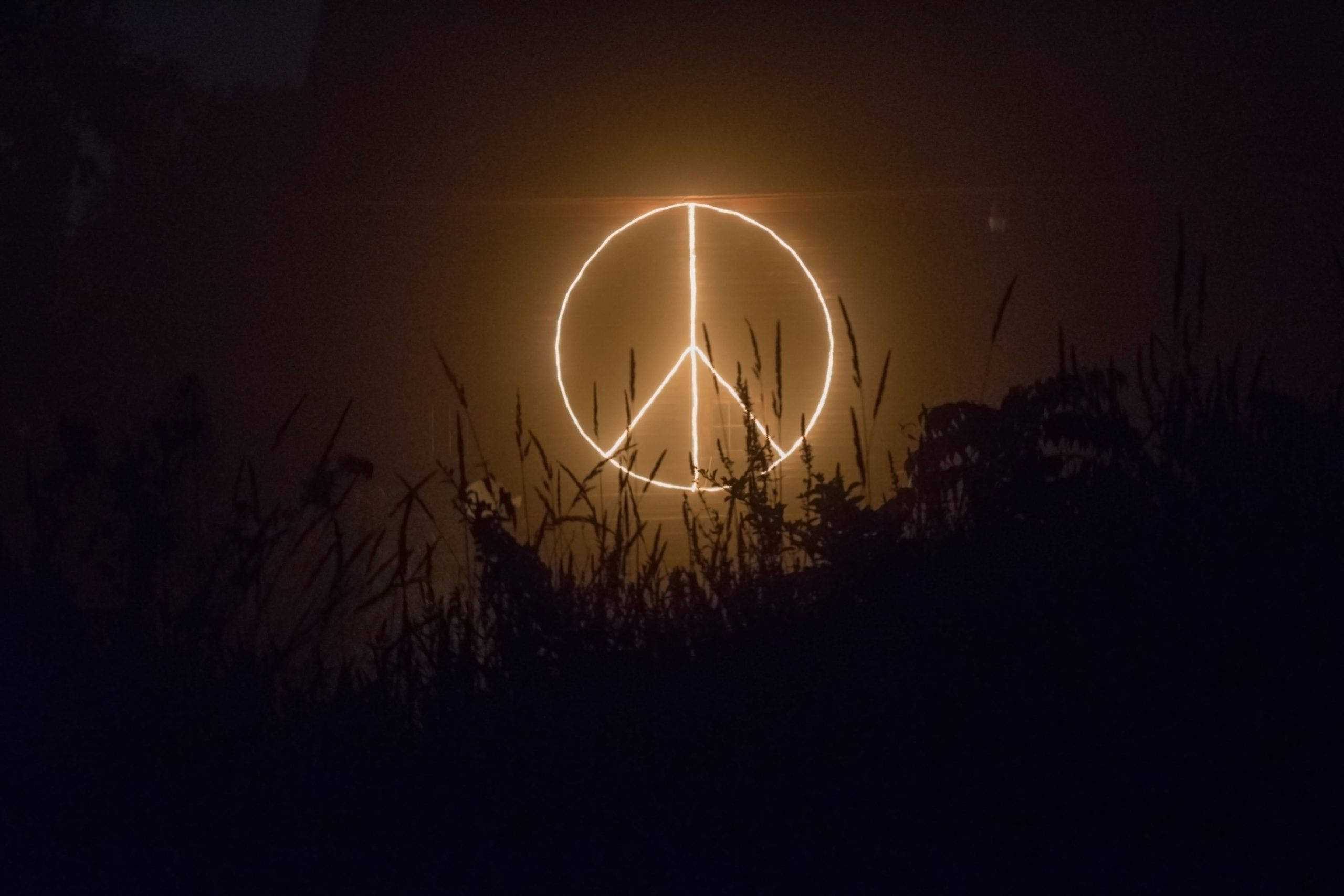 peace symbol, glowing, dark grass, 2K Desktop Wallpaper
