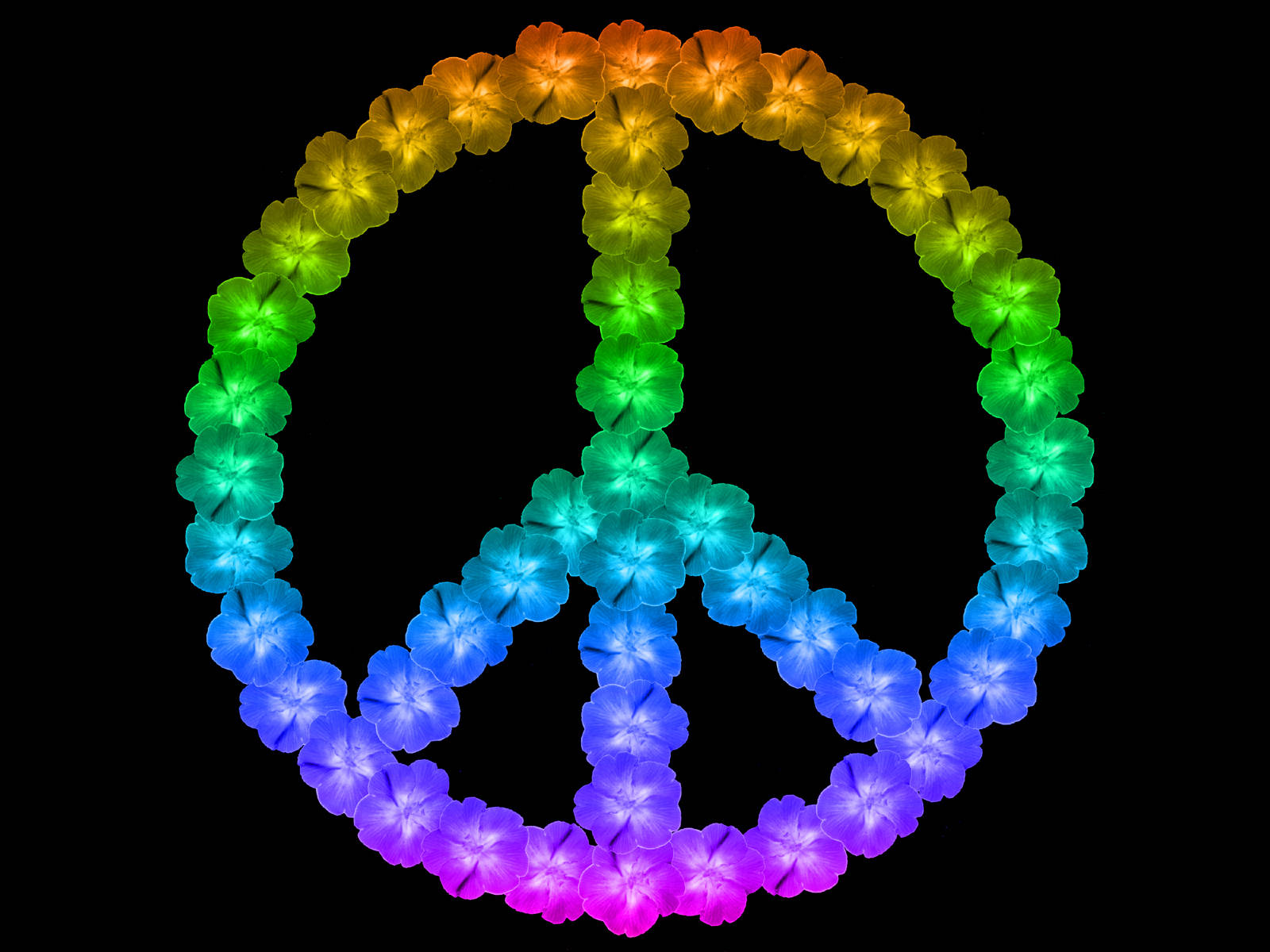 peace symbol, rainbow, glowing flowers, HD Desktop Wallpaper