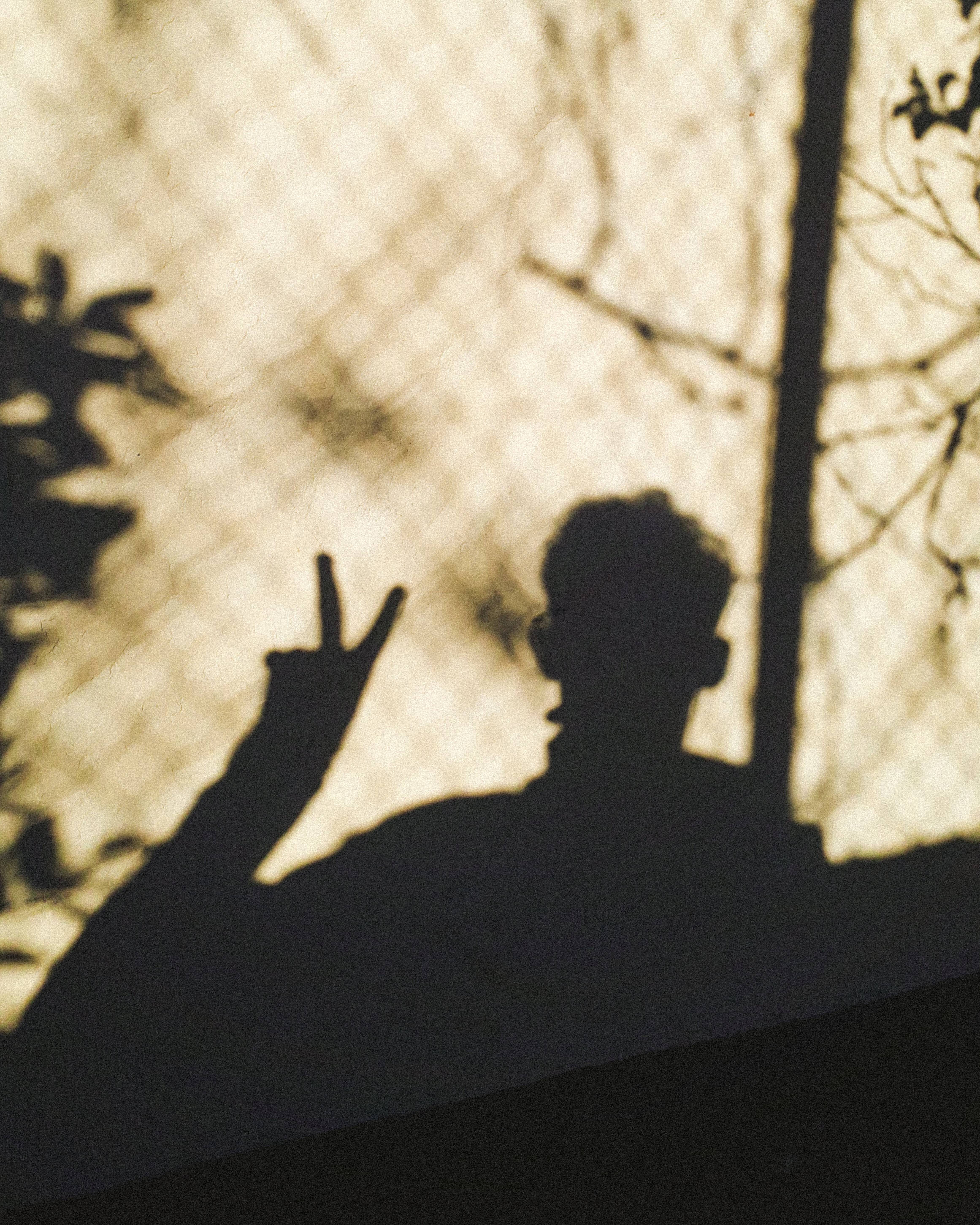 peace symbol, silhouette, tree branches, 2K Phone Wallpaper