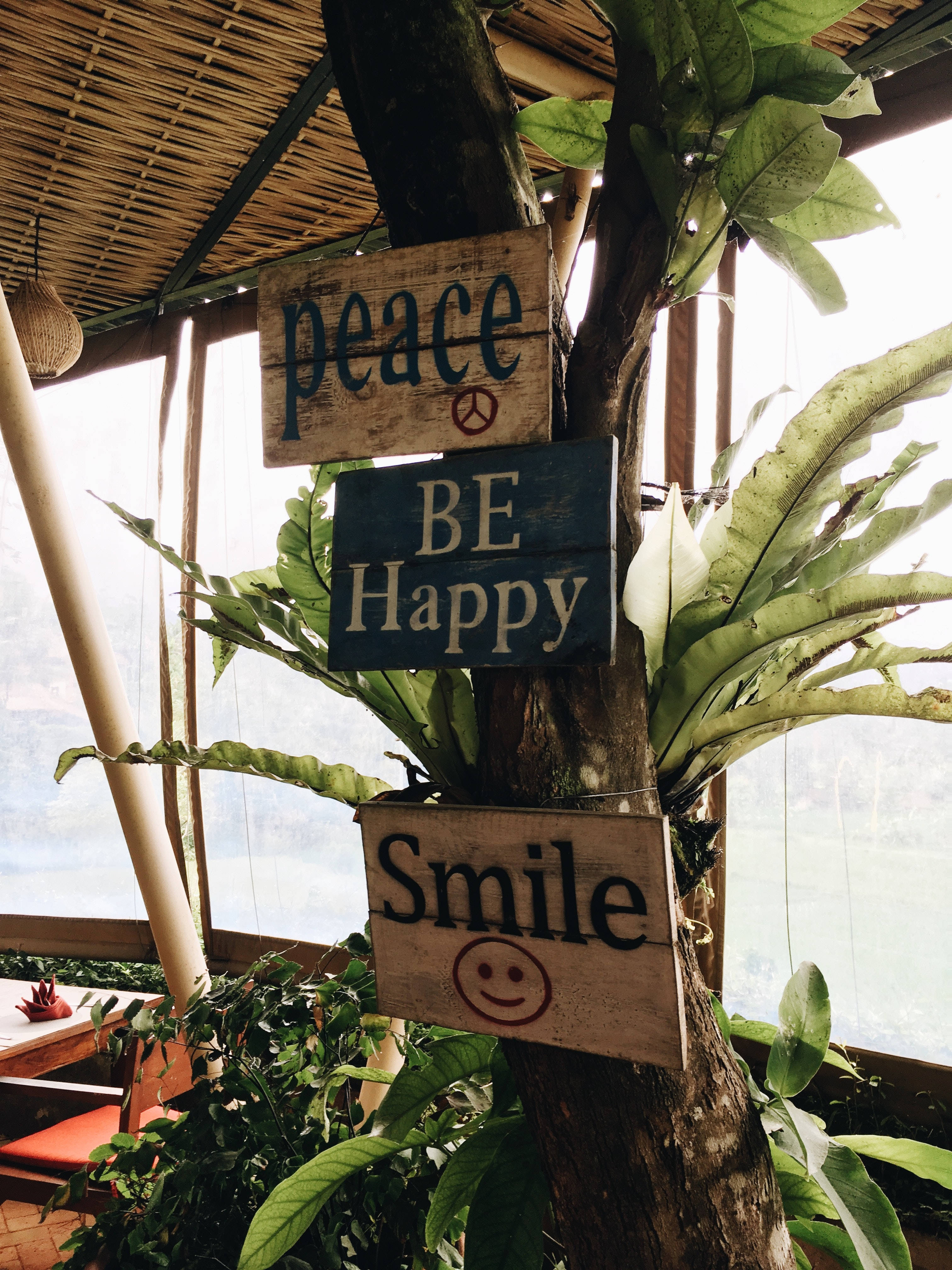 peace symbol, tree trunk, wooden signs, 4K Phone Wallpaper