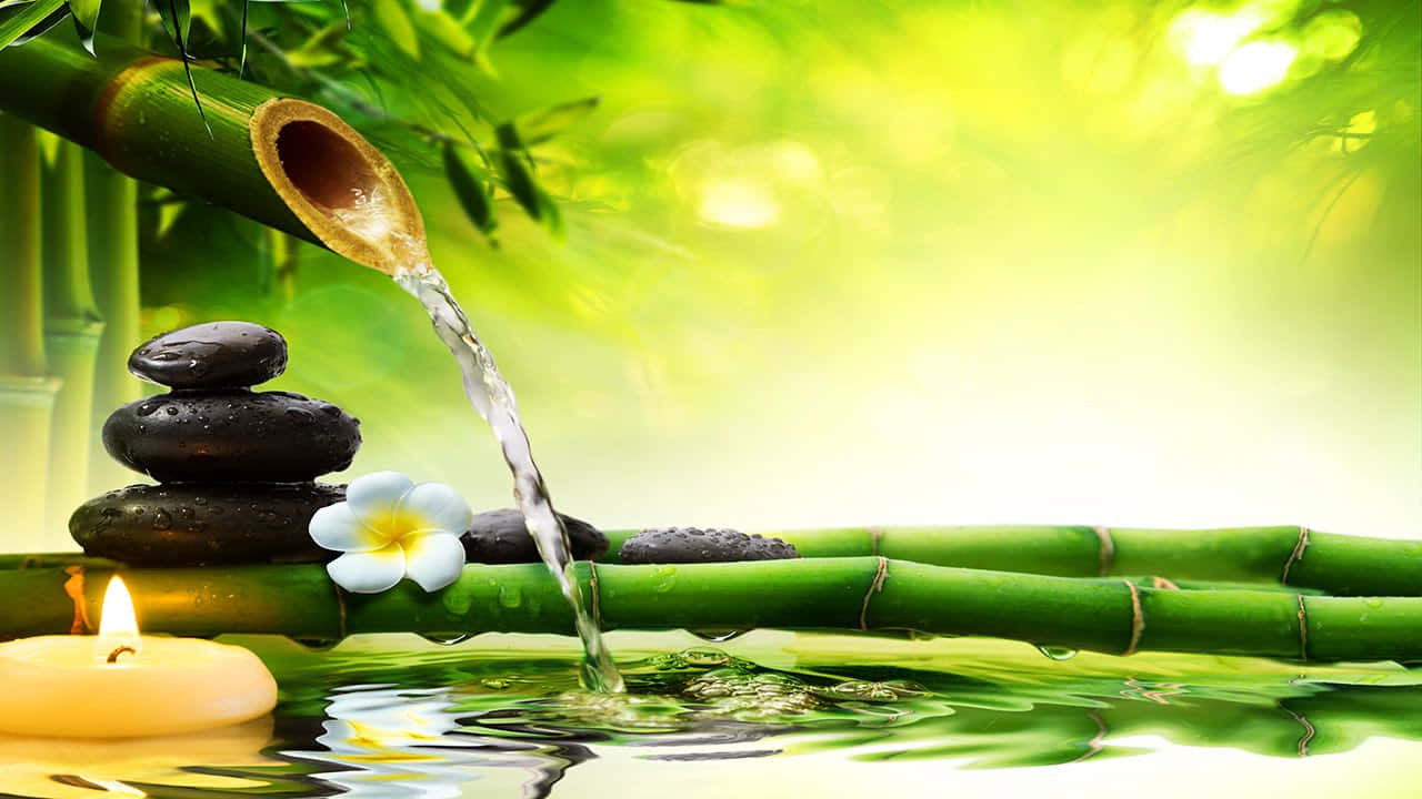 bamboo forest, water flowing from a bamboo scoop, stacked black stones, HD Desktop Wallpaper