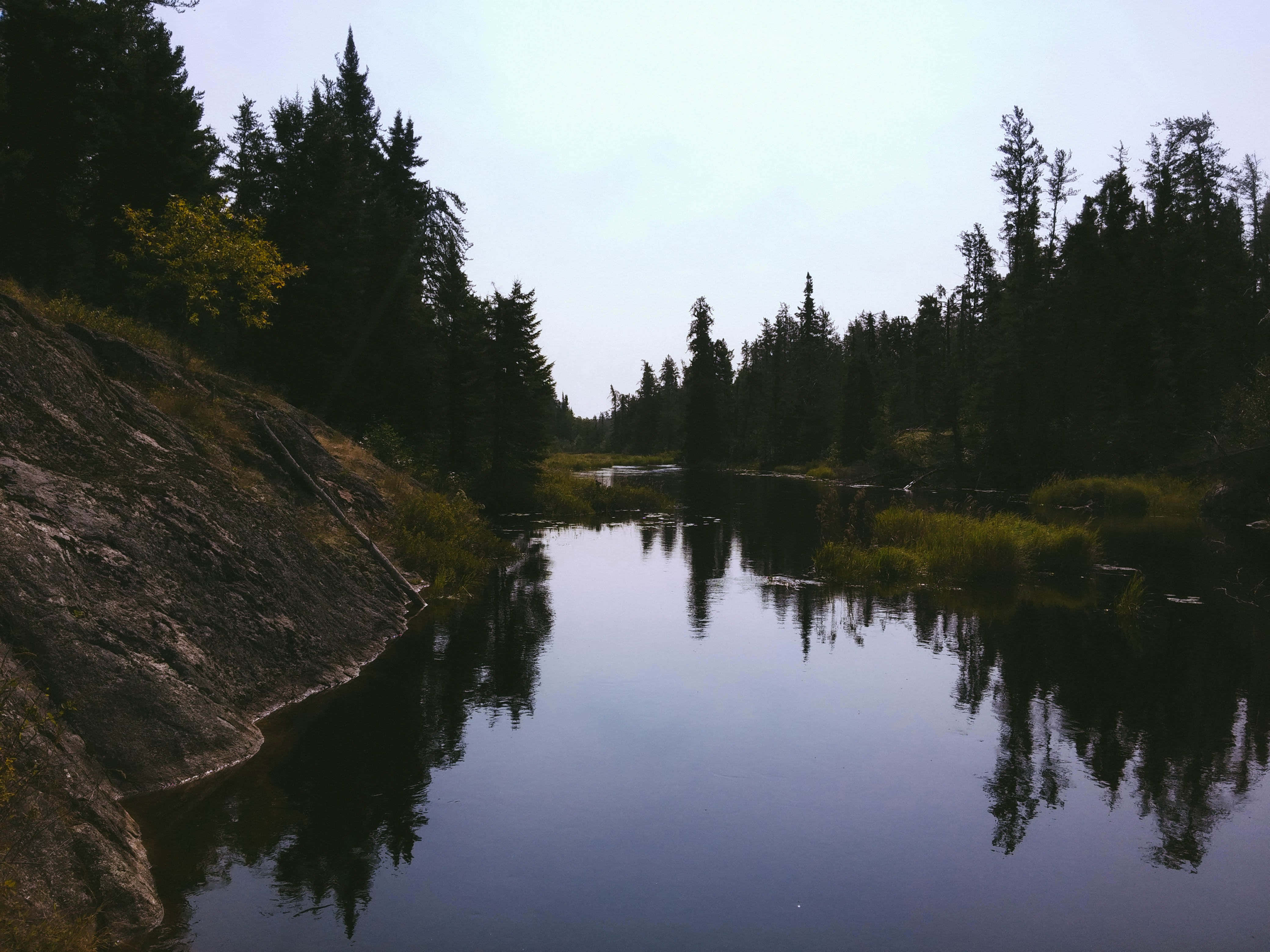 tranquil wilderness, calm river, tall pine trees, 4K Desktop Wallpaper