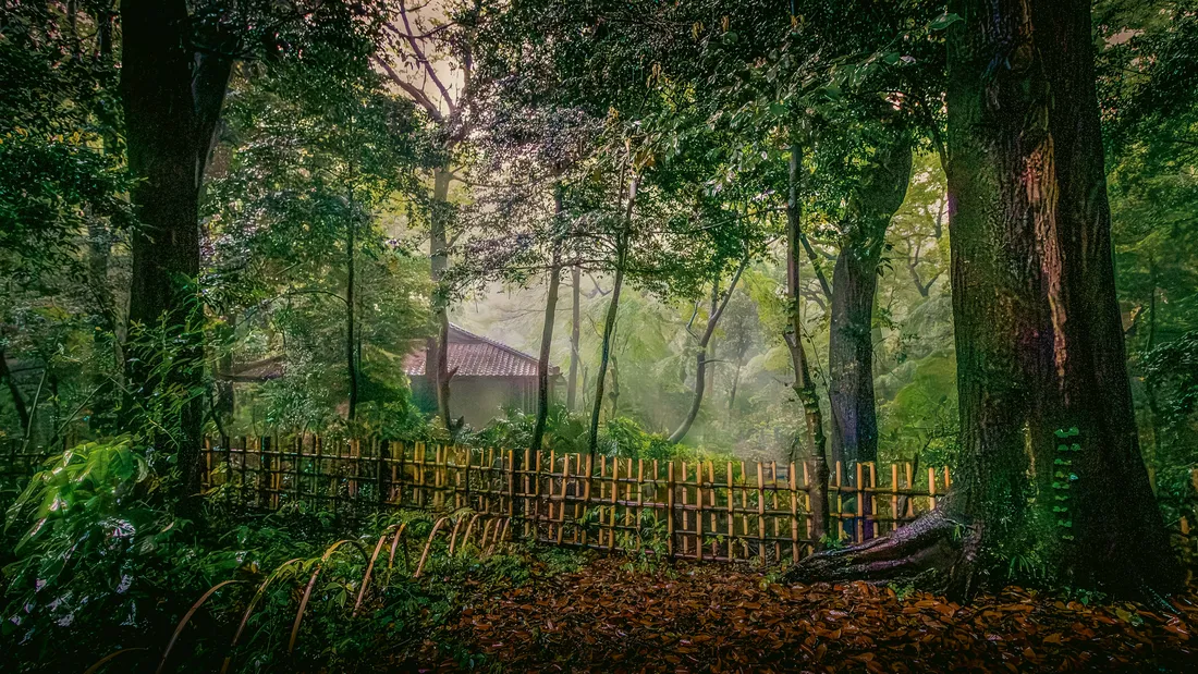 Peaceful