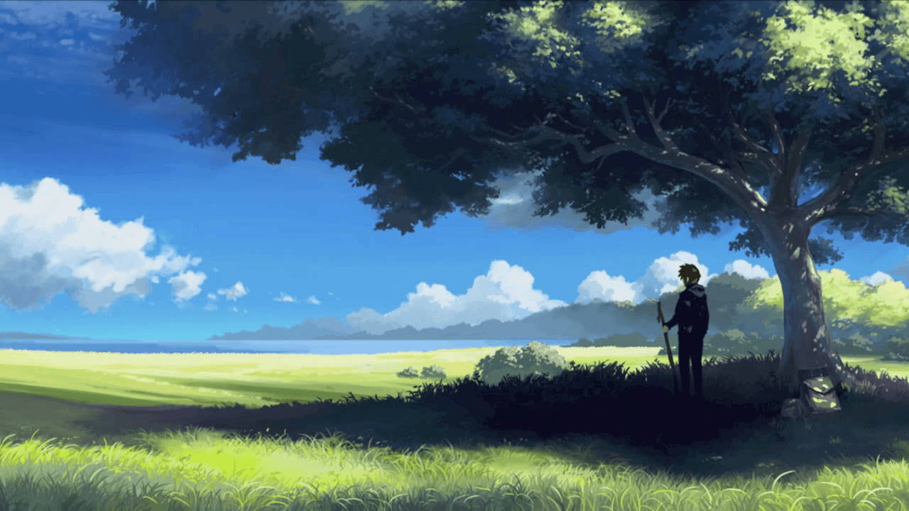 peaceful scenic field, vast tree, sunlit field, HD Desktop Wallpaper
