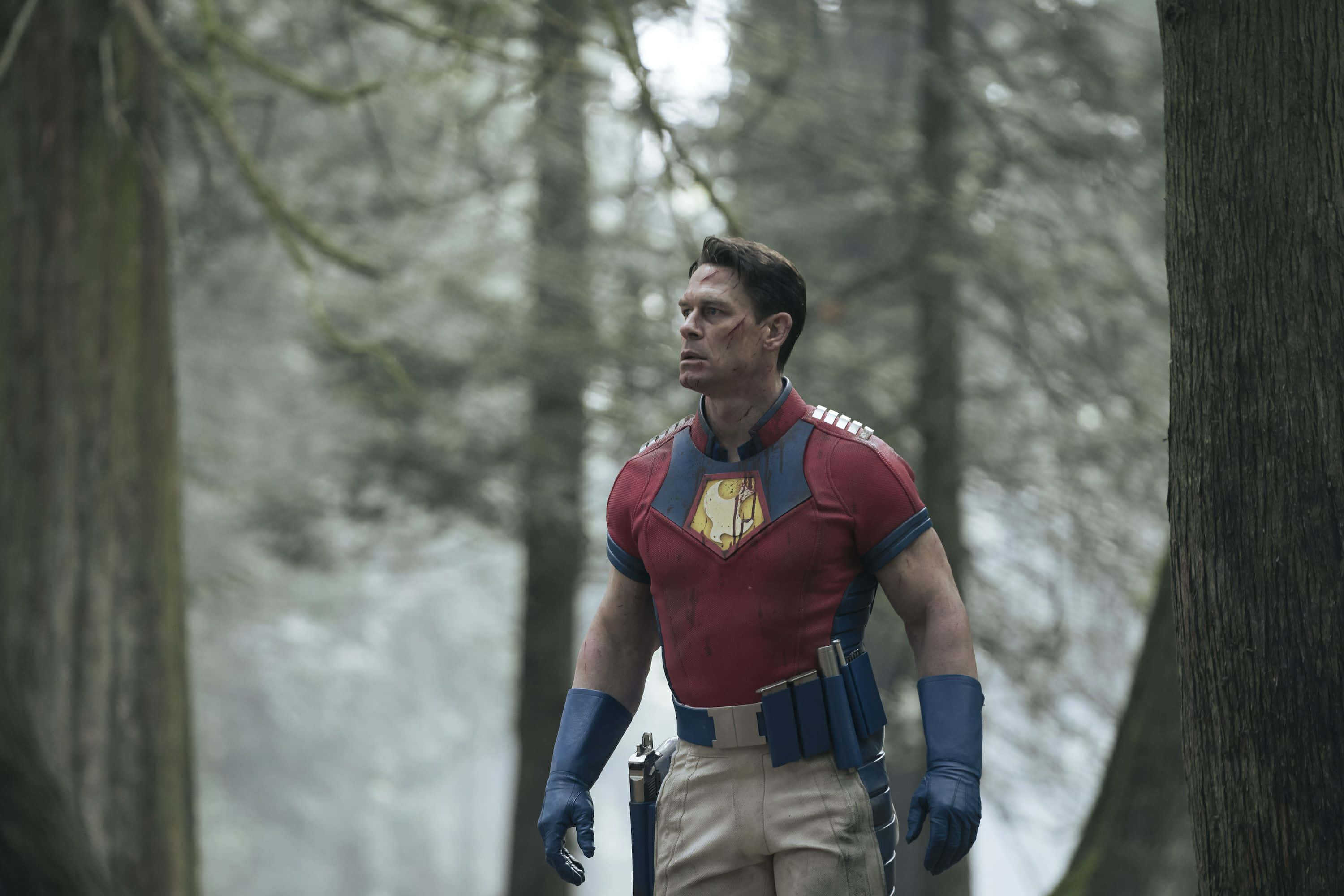 Peacemaker, red and blue costume, misty forest, 2K Desktop Wallpaper