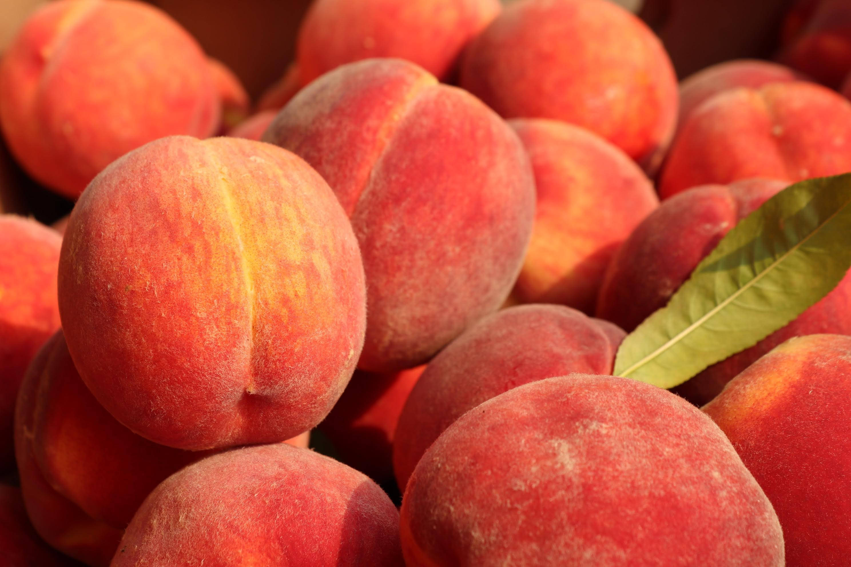 peach, fuzzy skin, green leaf, 2K Desktop Wallpaper