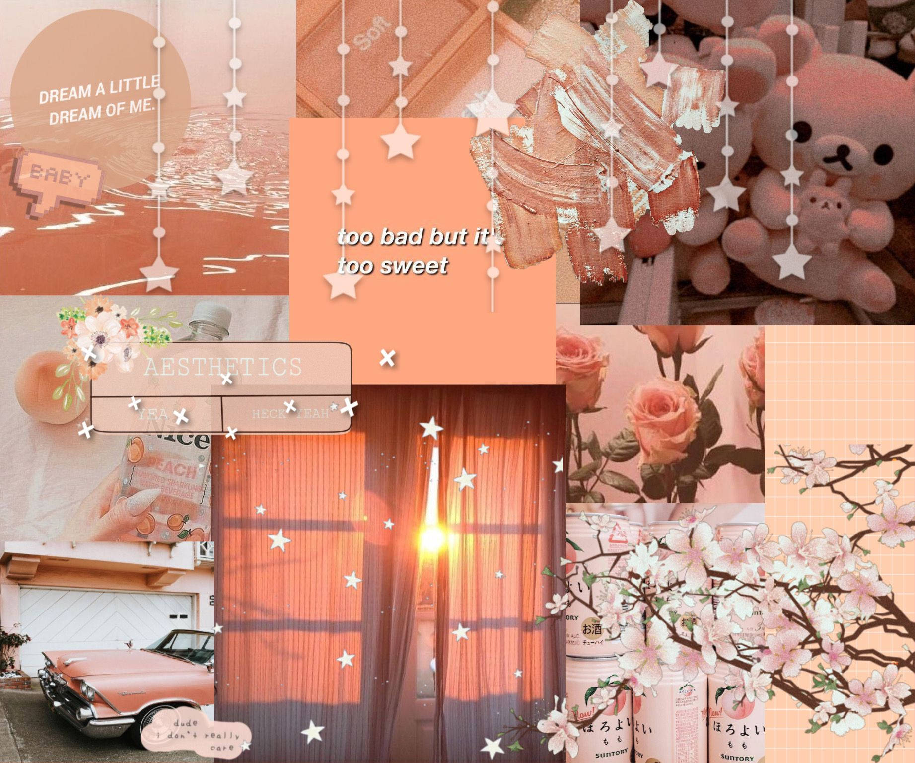 peach-toned, plush toys, roses, HD Desktop Wallpaper