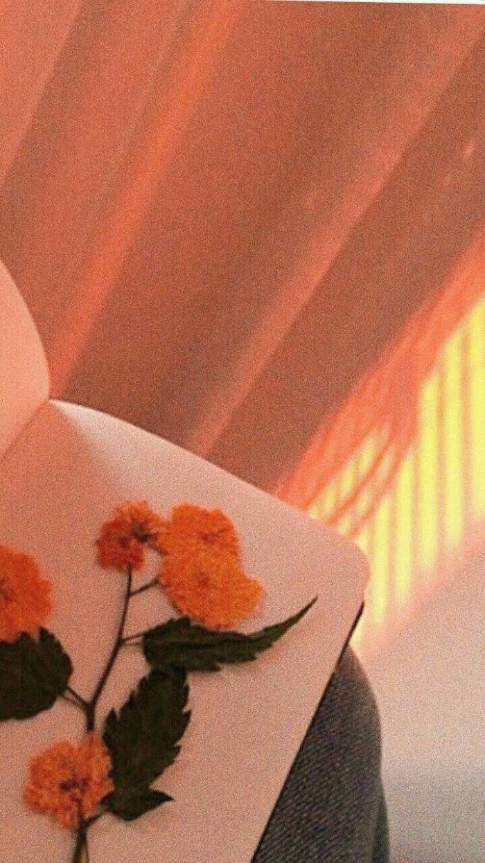 marigolds, white notebook, warm glowing window, SD Phone Wallpaper
