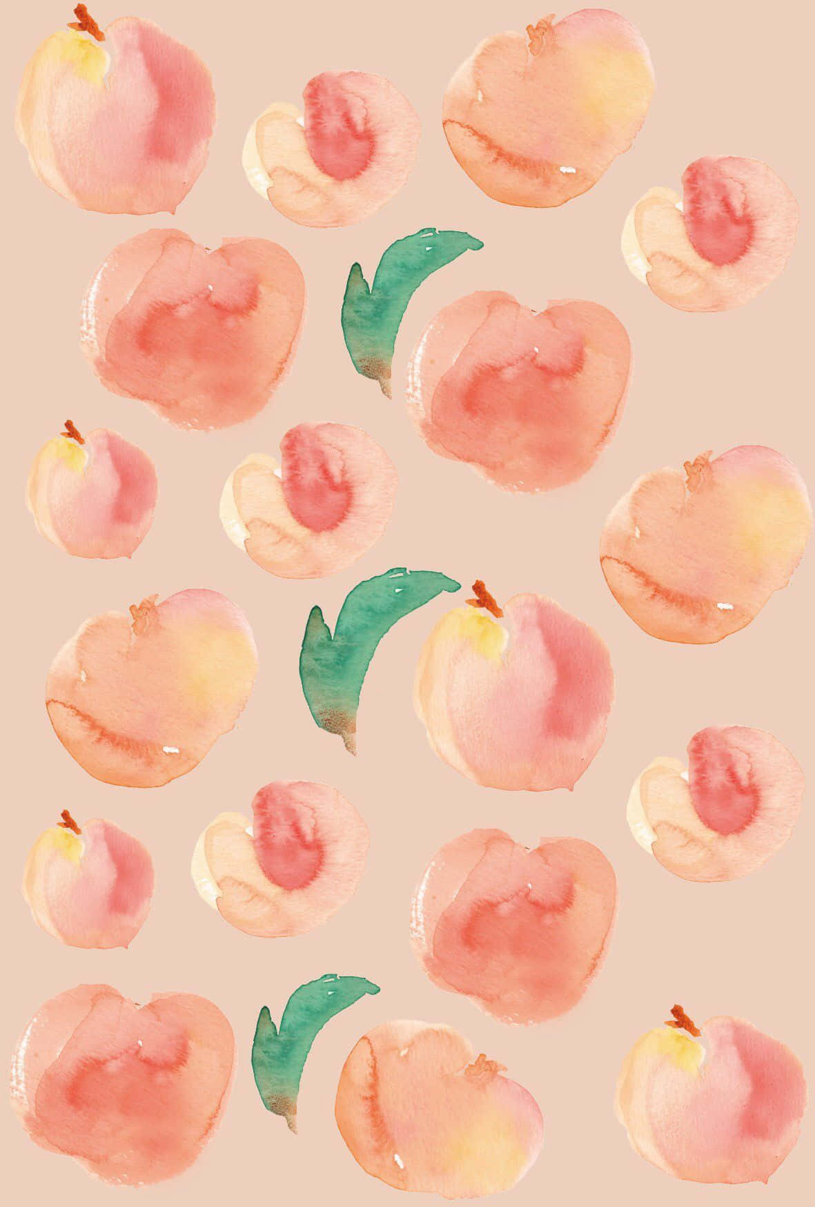 Peach iPhone, iPhone 11, pastel pinks, HD Phone Wallpaper
