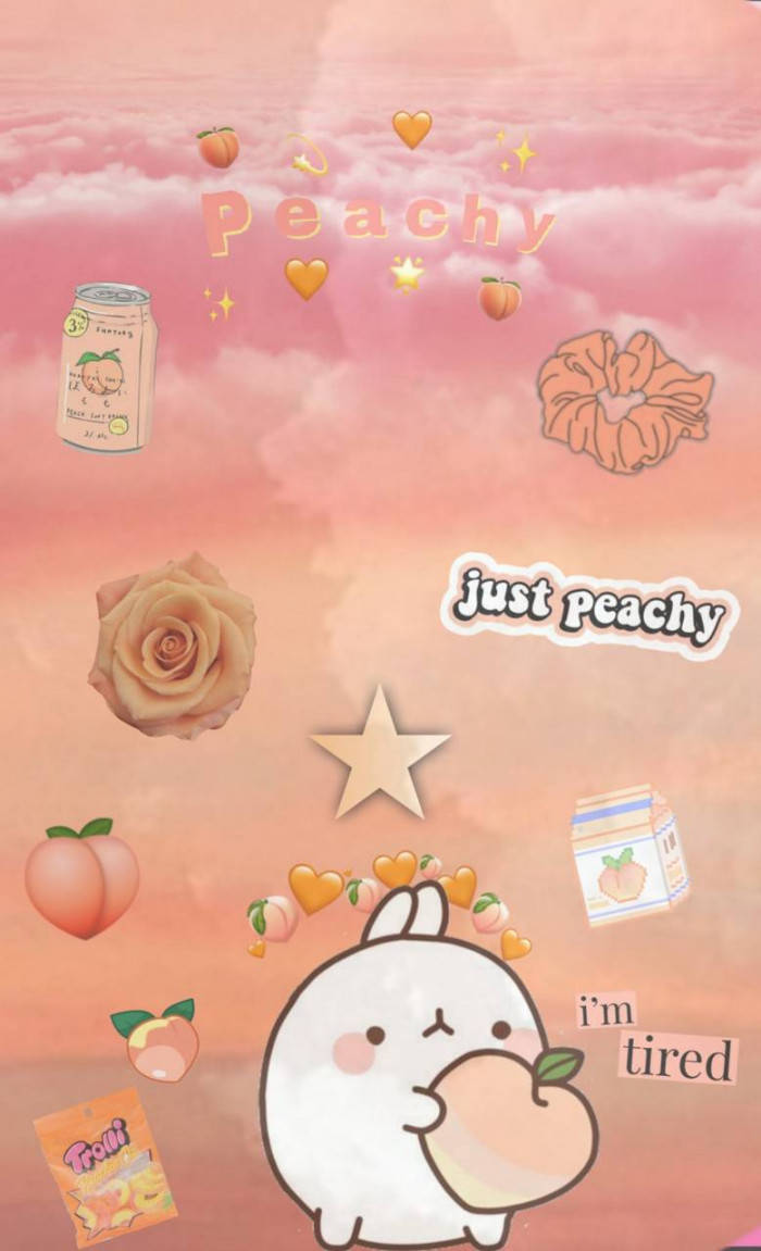 Rabbit Gummy Peach, white bunny, peach, SD Phone Wallpaper