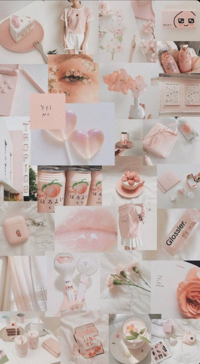 white, peach, soft pink, SD Phone Wallpaper