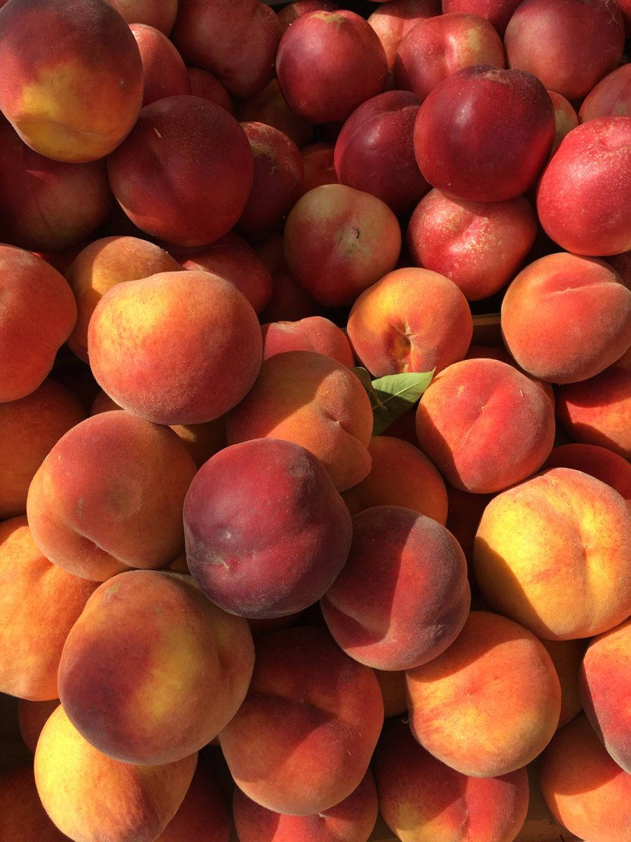New Harvest Nectarine Fruit, peaches, red and yellow hues, SD Phone Wallpaper
