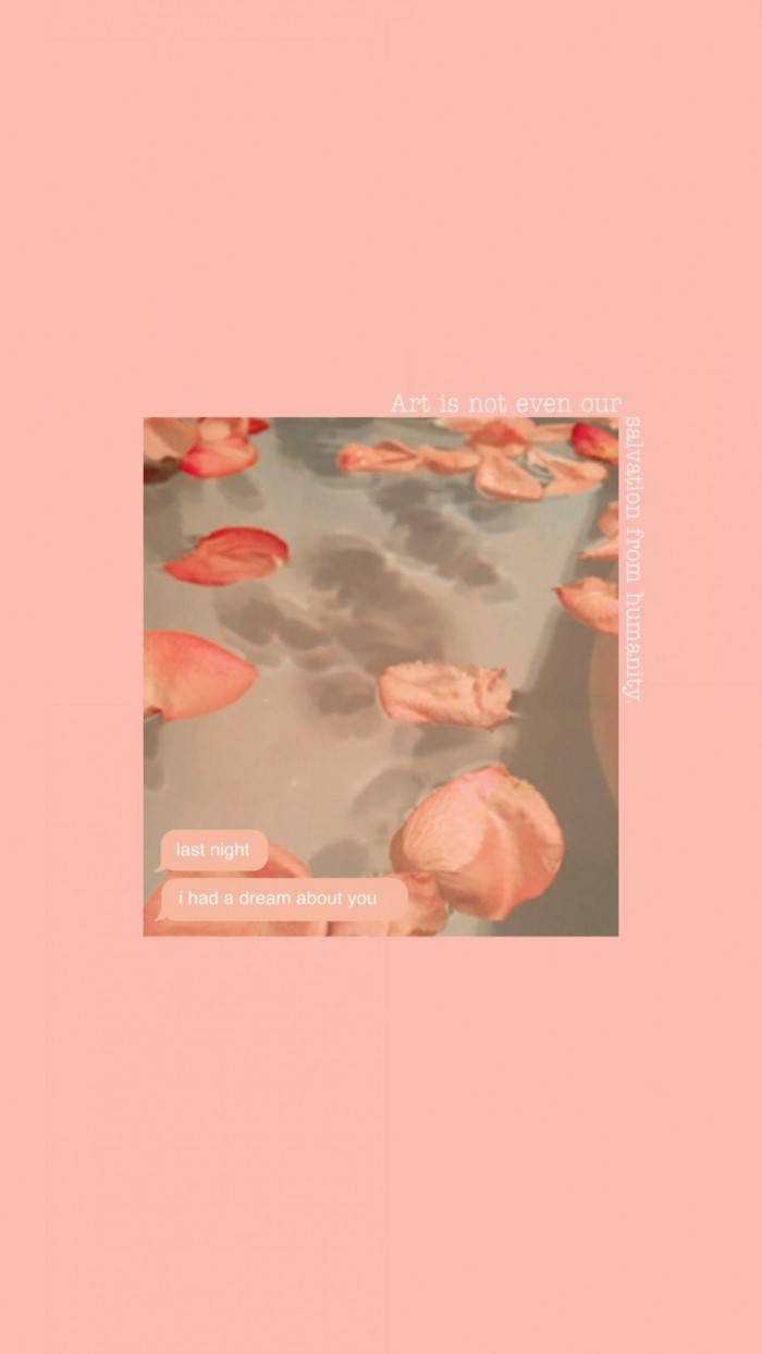 peach color aesthetic, soft pink rose petals, calm water, SD Phone Wallpaper