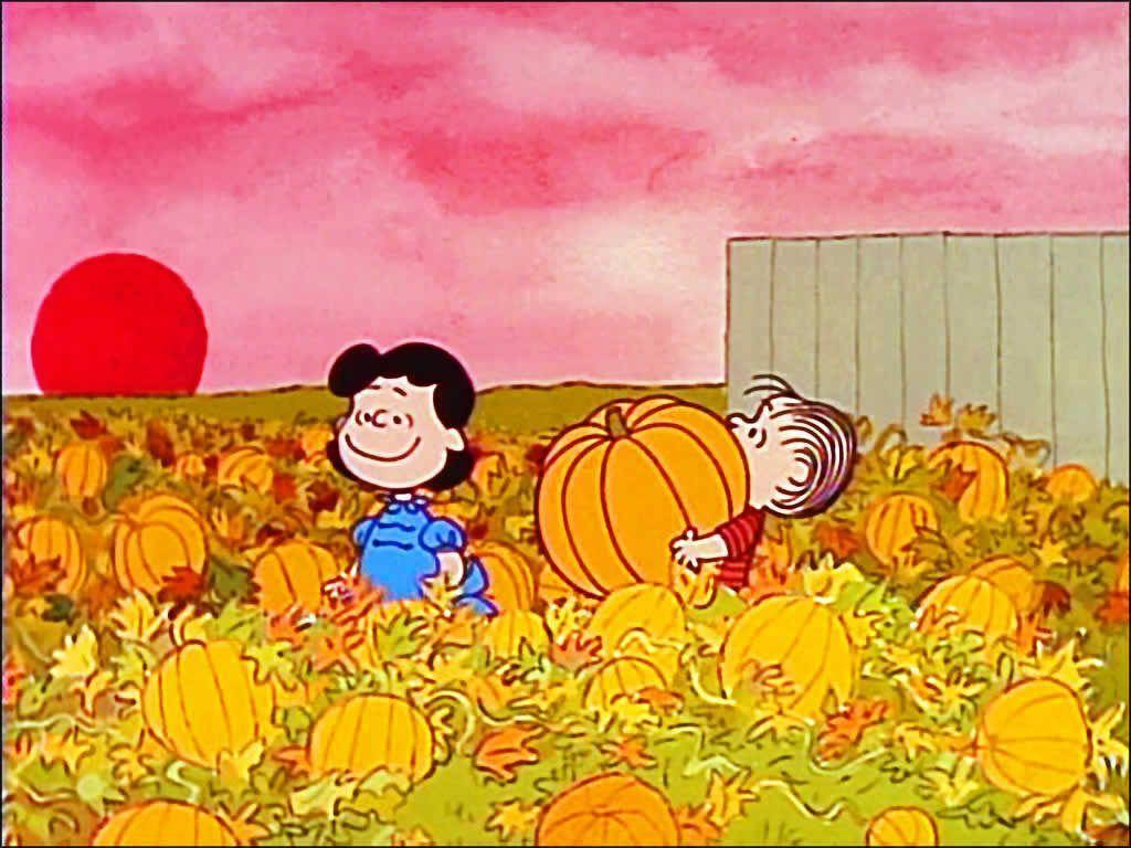 Peanuts Thanksgiving, pumpkin patch, pink sky, SD Desktop Wallpaper