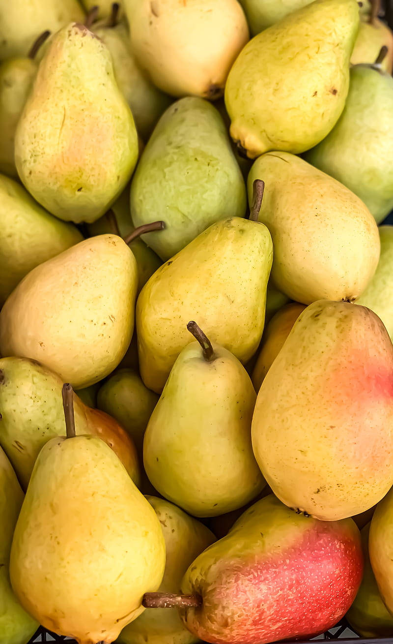 harvested pear fruits, ripe pears, green yellow, HD Phone Wallpaper