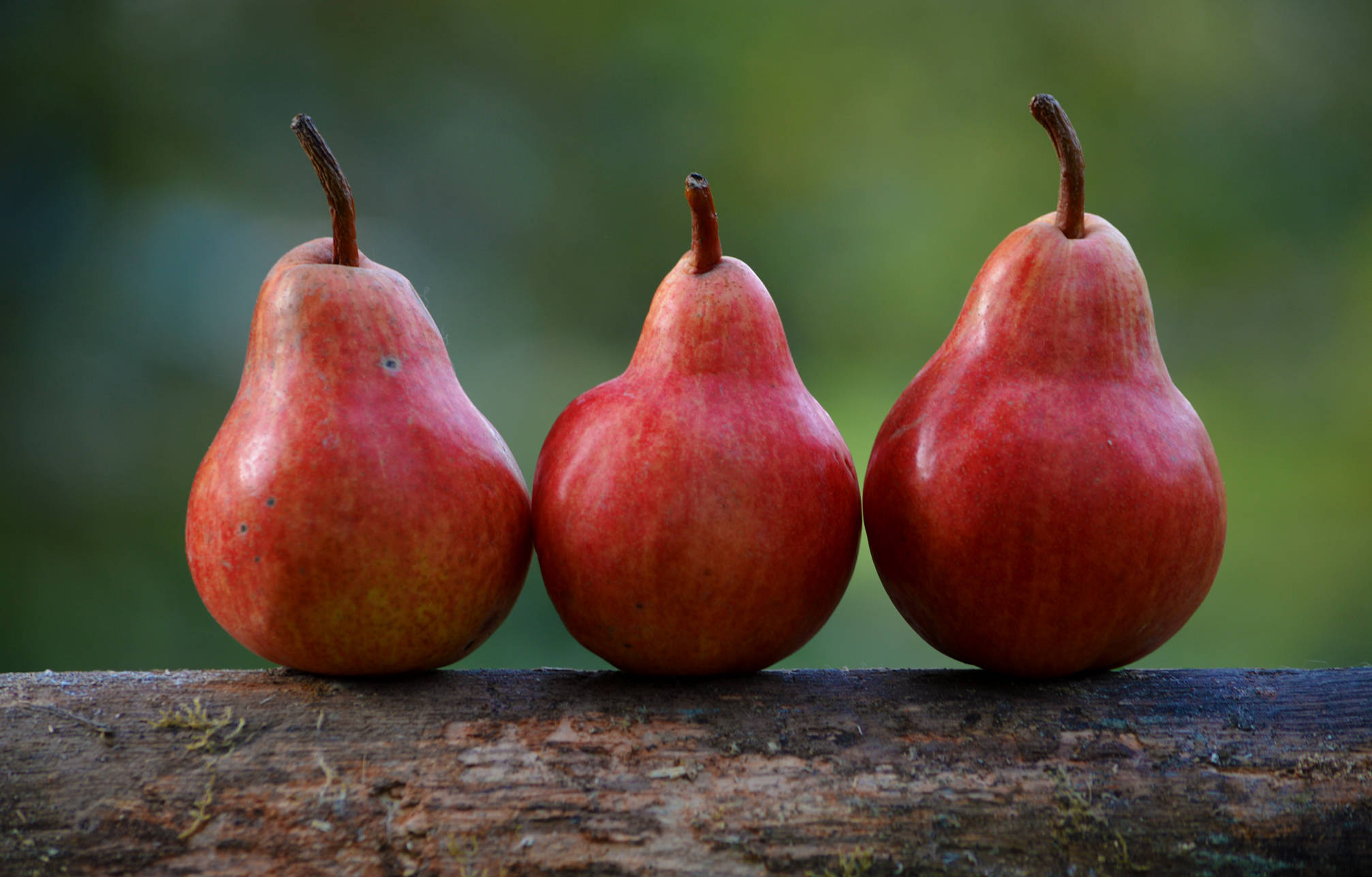red pears, weathered wooden log, soft green blurred background, Full HD Desktop Wallpaper