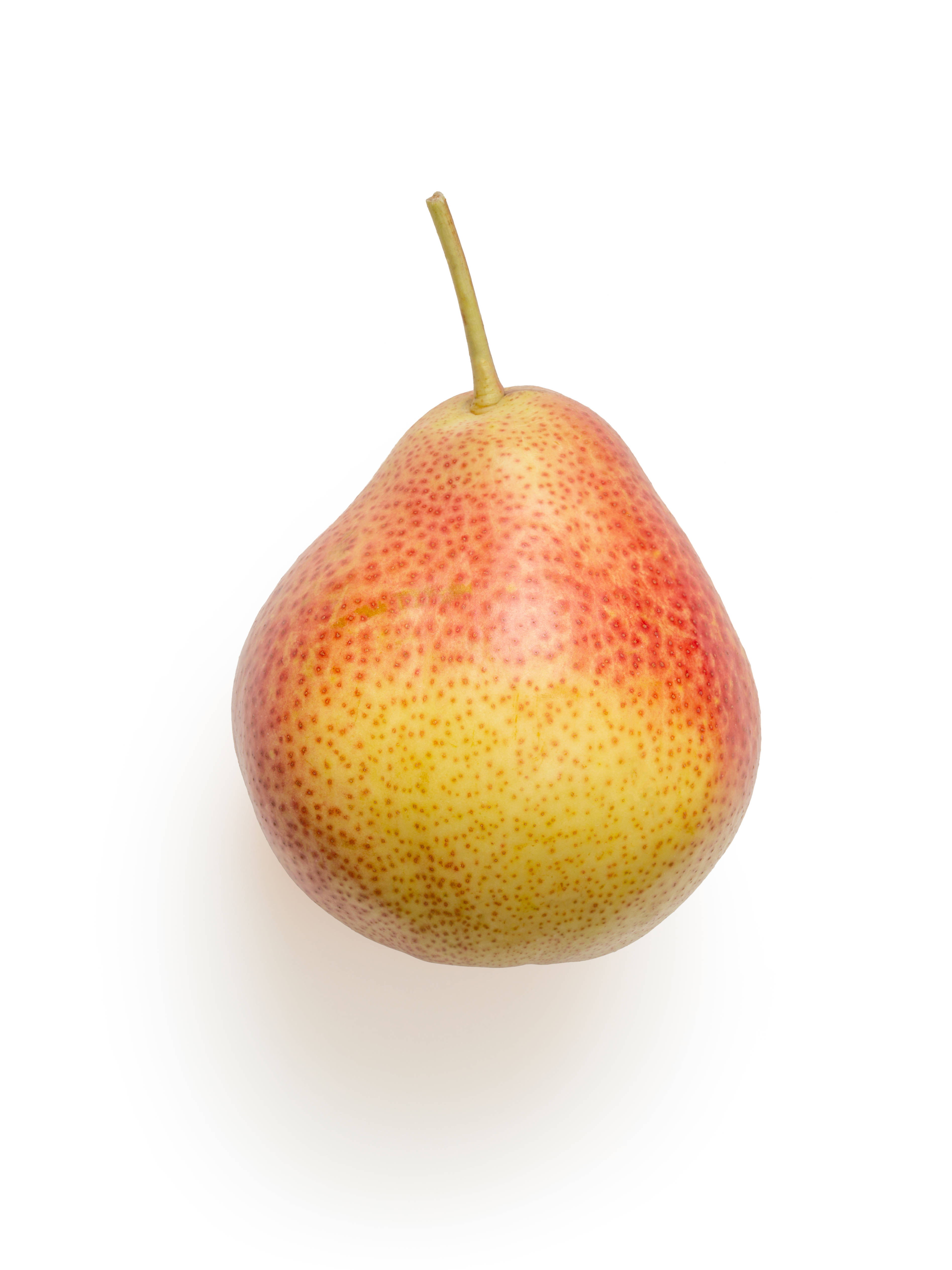 one reddish pear, red and yellow speckled skin, short stem, 4K Phone Wallpaper