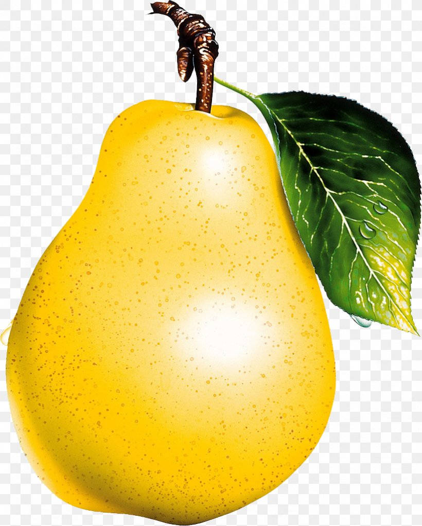 yellow pear, green leaf, water droplets, SD Phone Wallpaper
