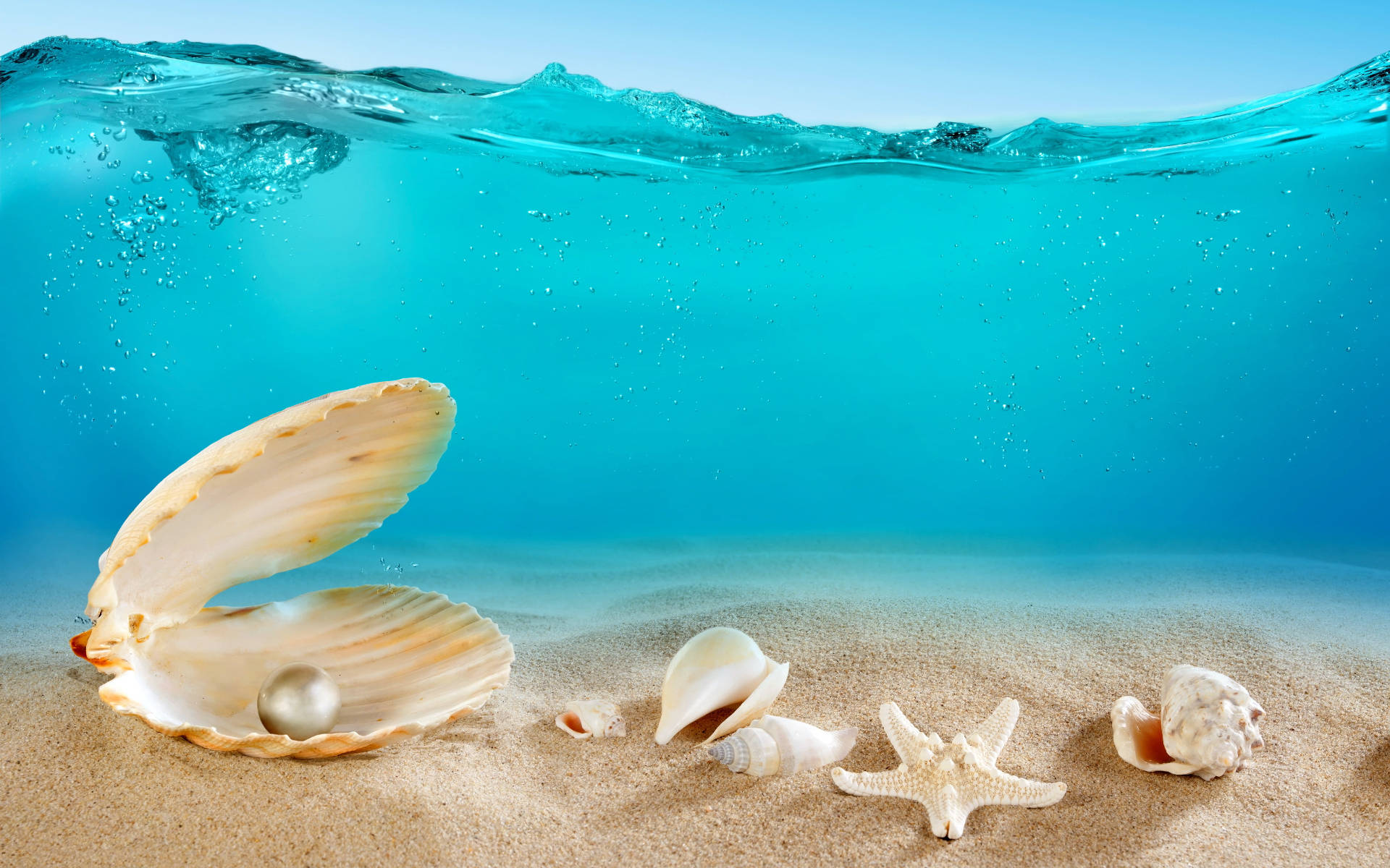 pearl, split-shell, starfish, Full HD Desktop Wallpaper
