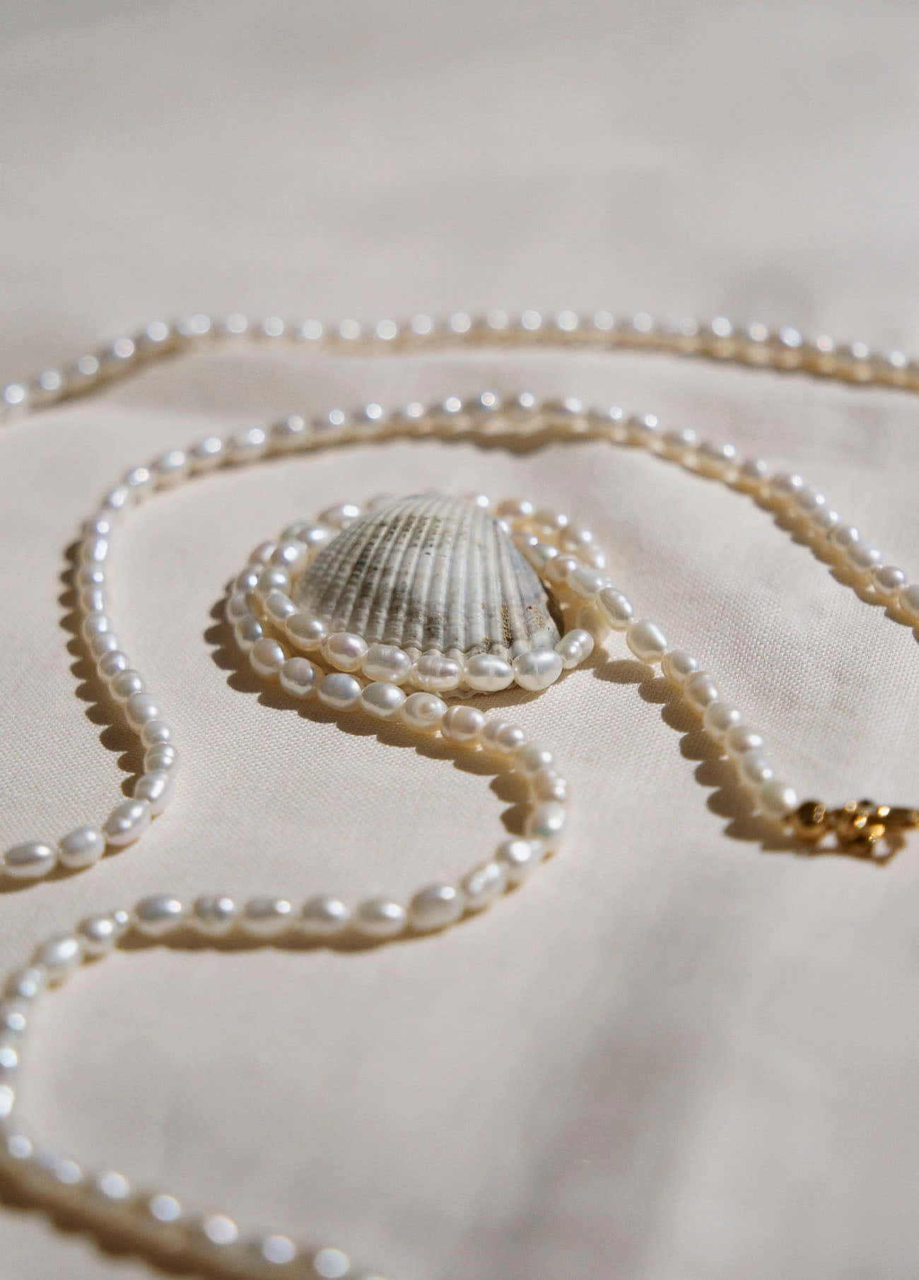pearl necklace, seashell, cream fabric, HD Phone Wallpaper