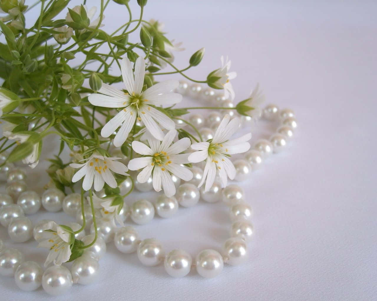 White pearl necklace, delicate white flowers, green stems, HD Desktop Wallpaper