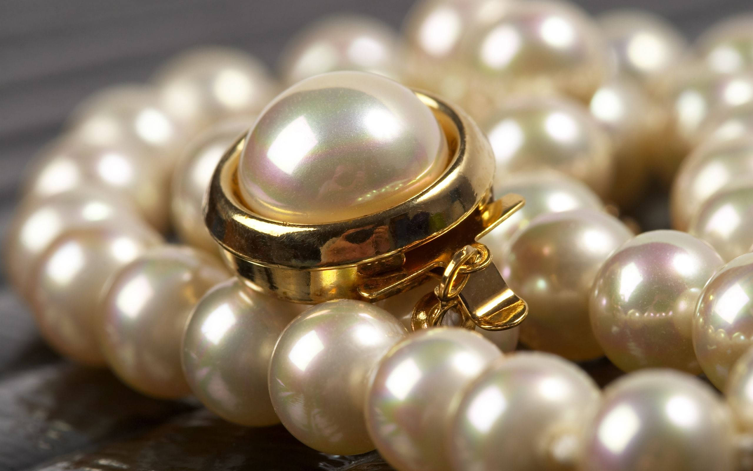 pearl necklace, cream pearls, gold clasp, 2K Desktop Wallpaper