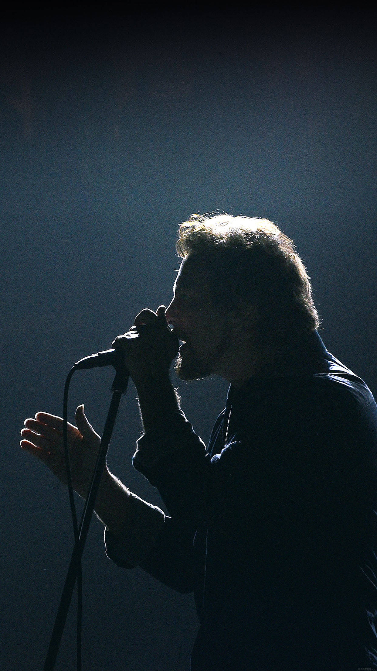 Pearl Jam, rock band, live concert, Full HD Phone Wallpaper