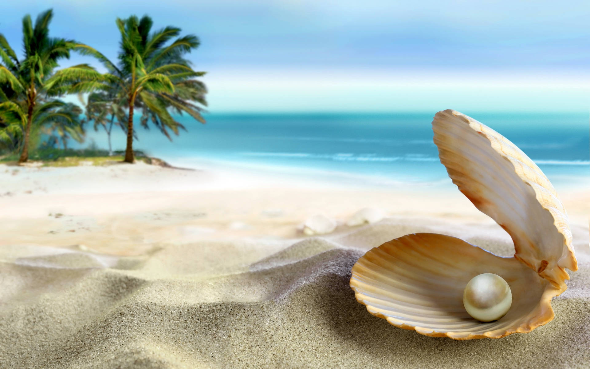 pearl, seashell, golden sand, Full HD Desktop Wallpaper