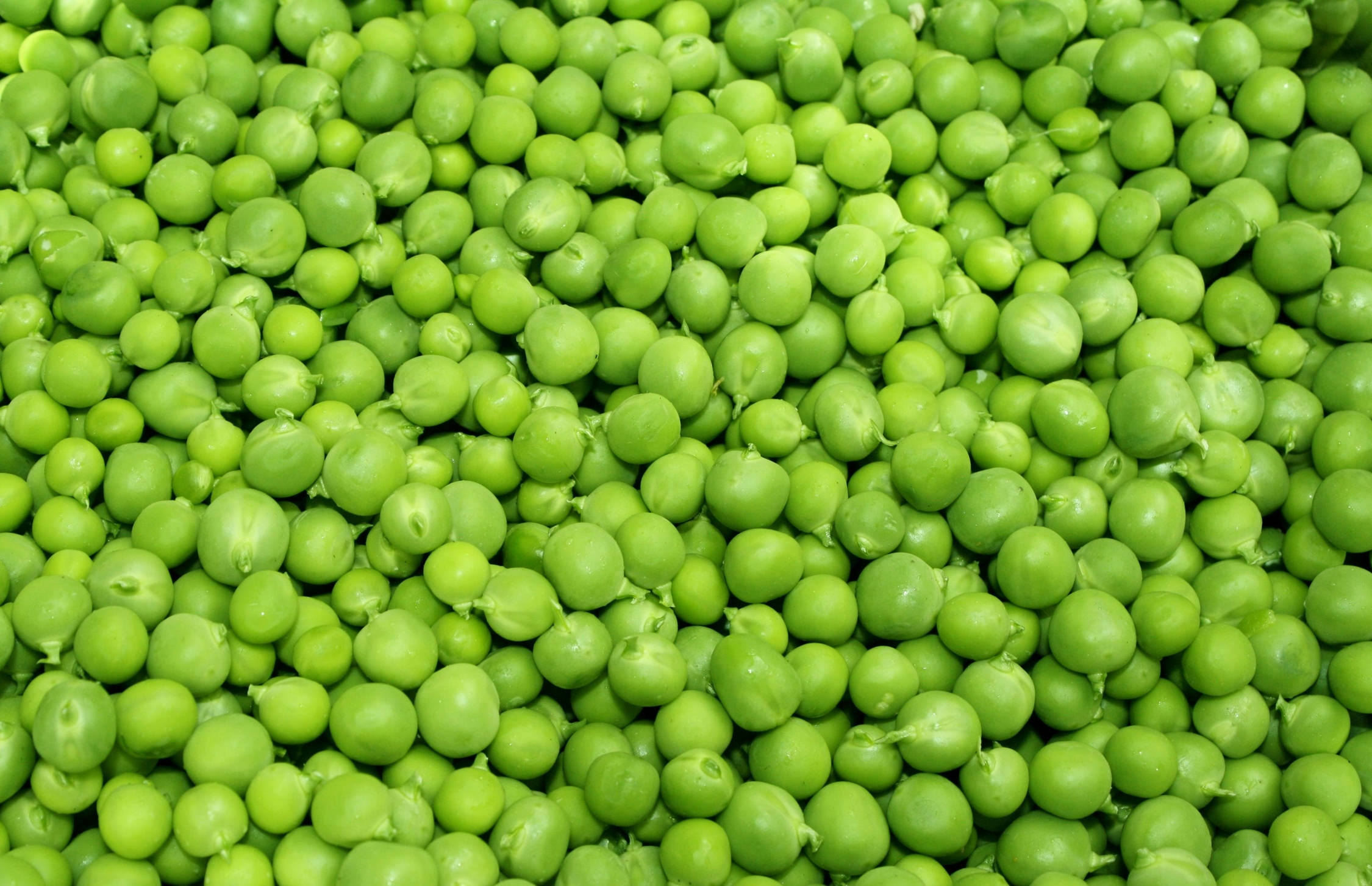 green peas, top view, close-up, Full HD Desktop Wallpaper